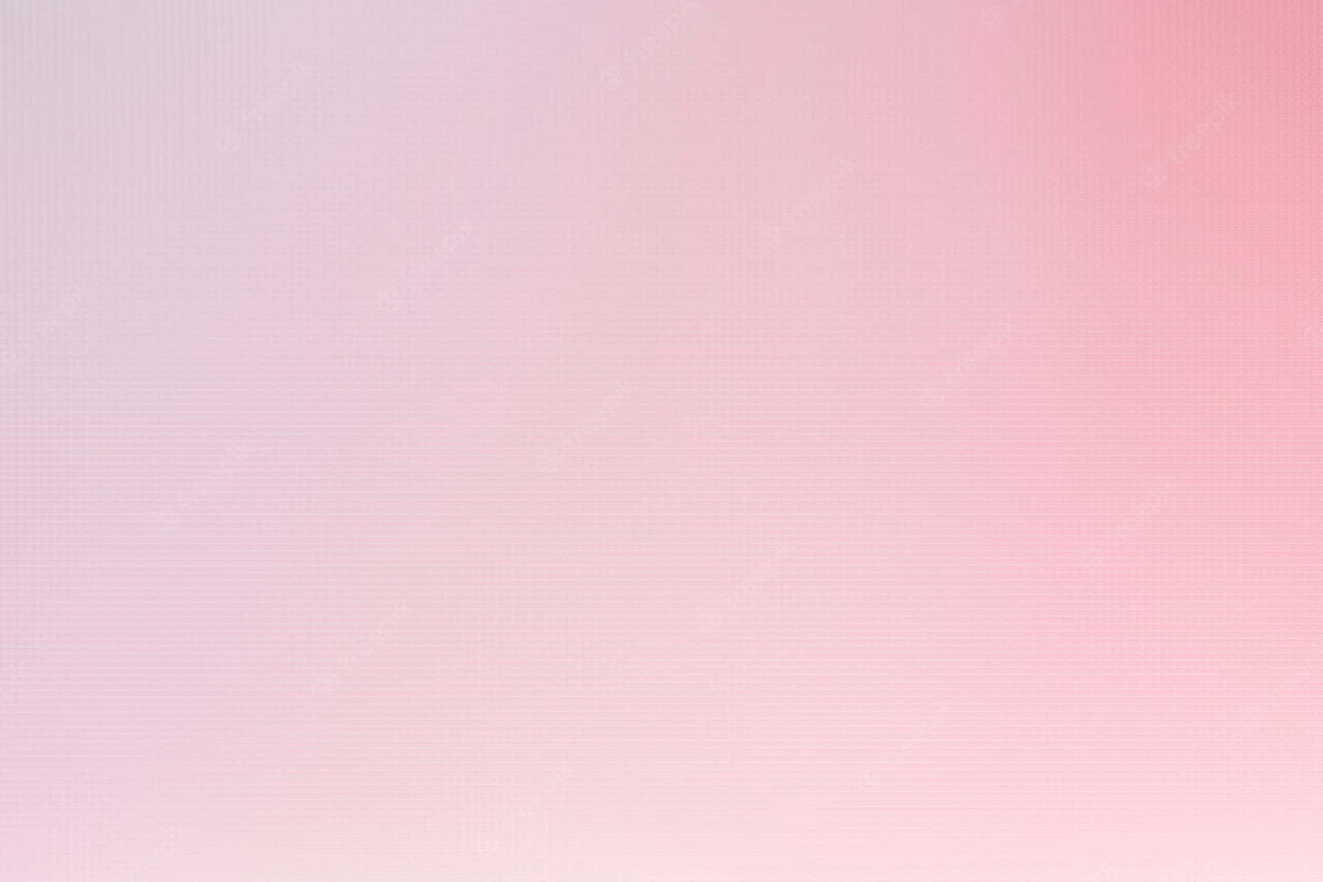 Pink And White Gradient Background Background