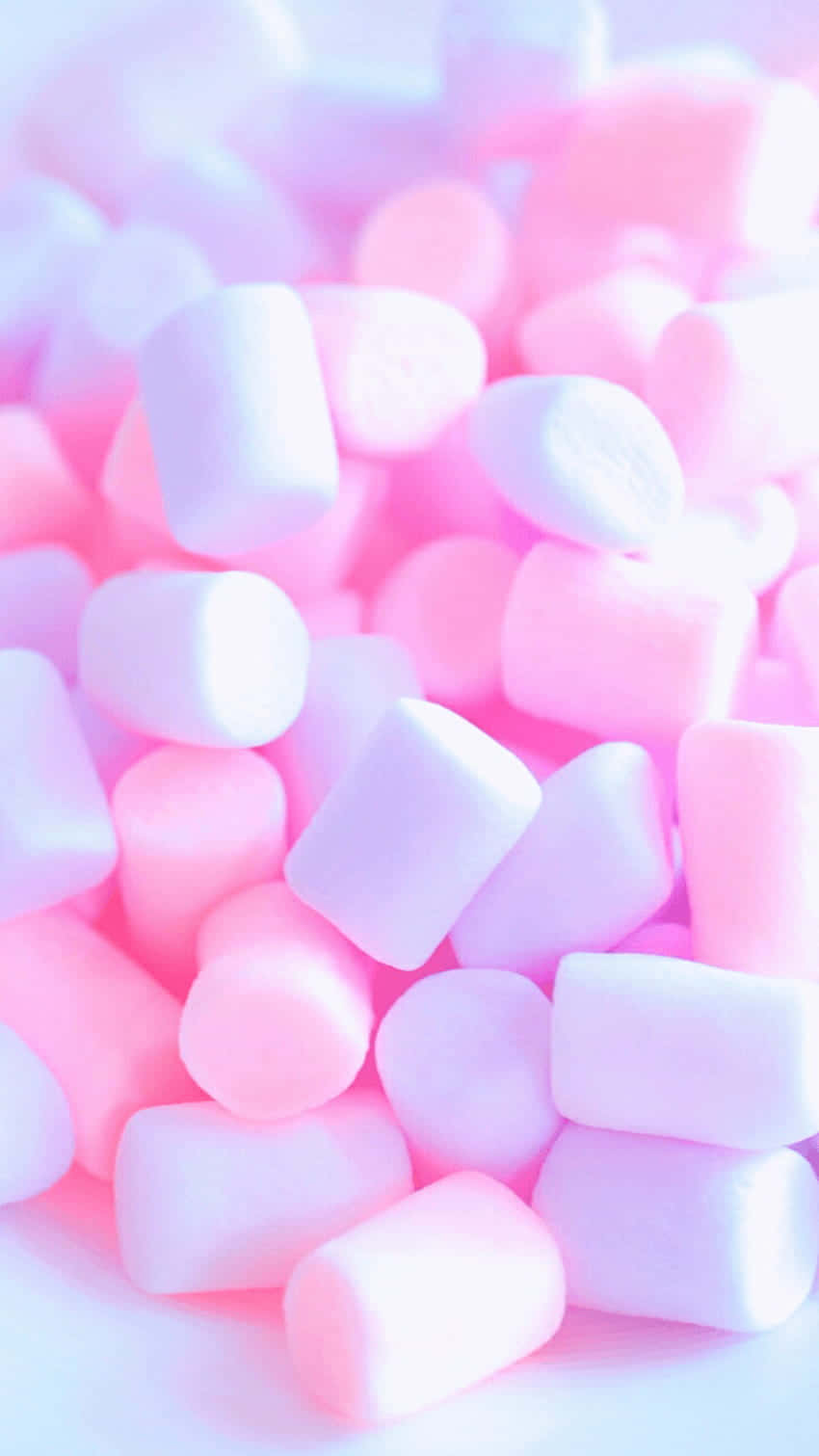 Pink And White Marshmallows On A White Plate Background