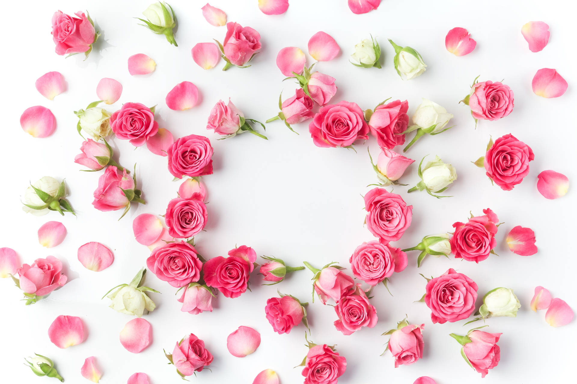 Pink And White Petals Background