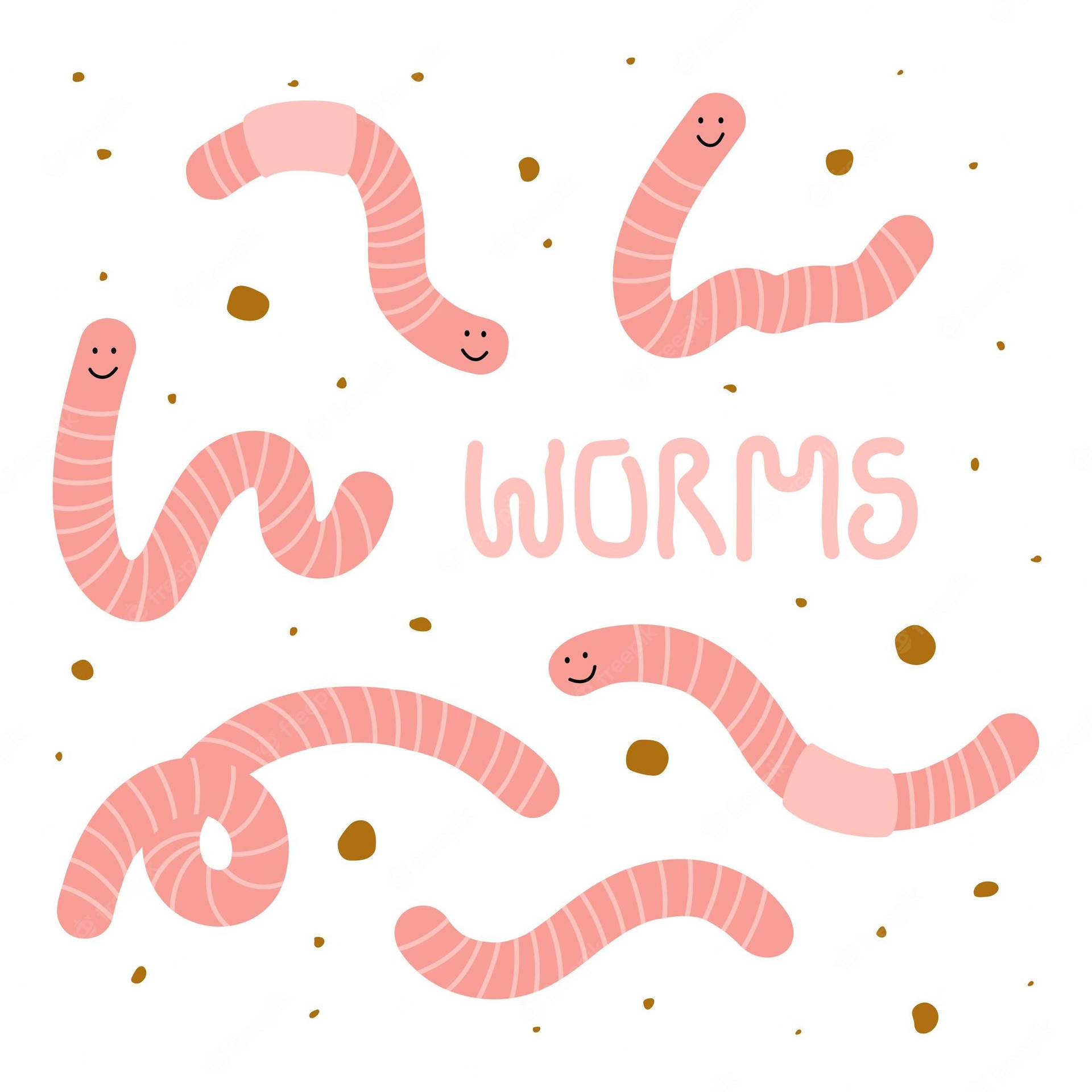 Pink And White Worm Illustration Background