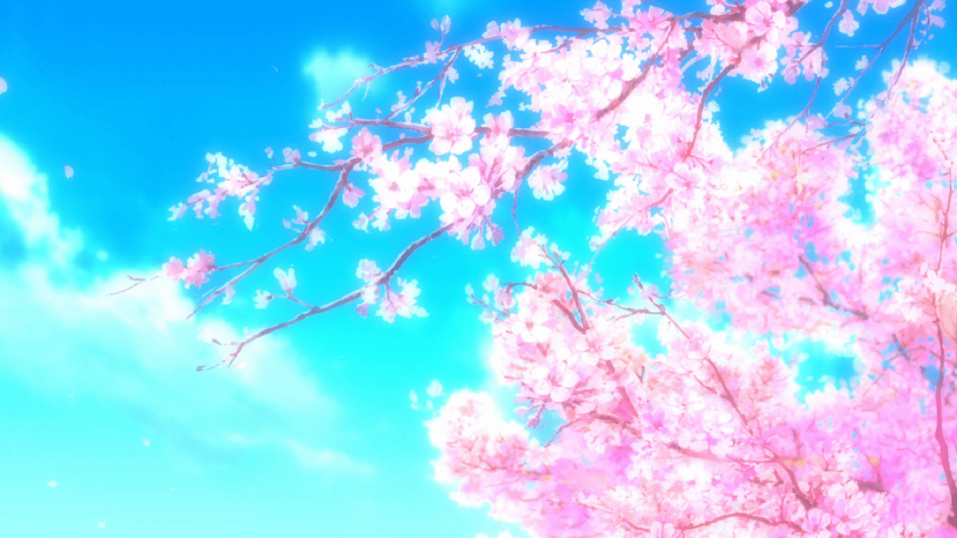 Pink Anime Aesthetic Blossoms Background