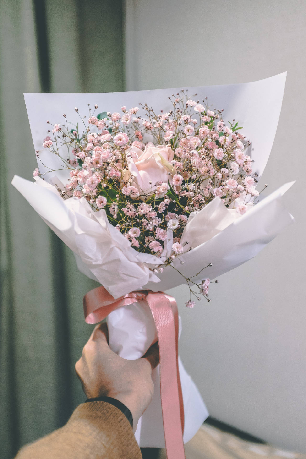 Pink Baby's Breath Flower Bouquet Background