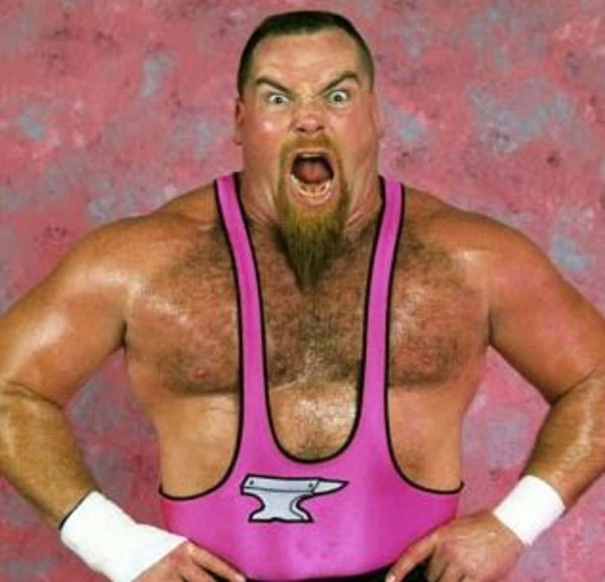 Pink Background Jim Neidhart Background