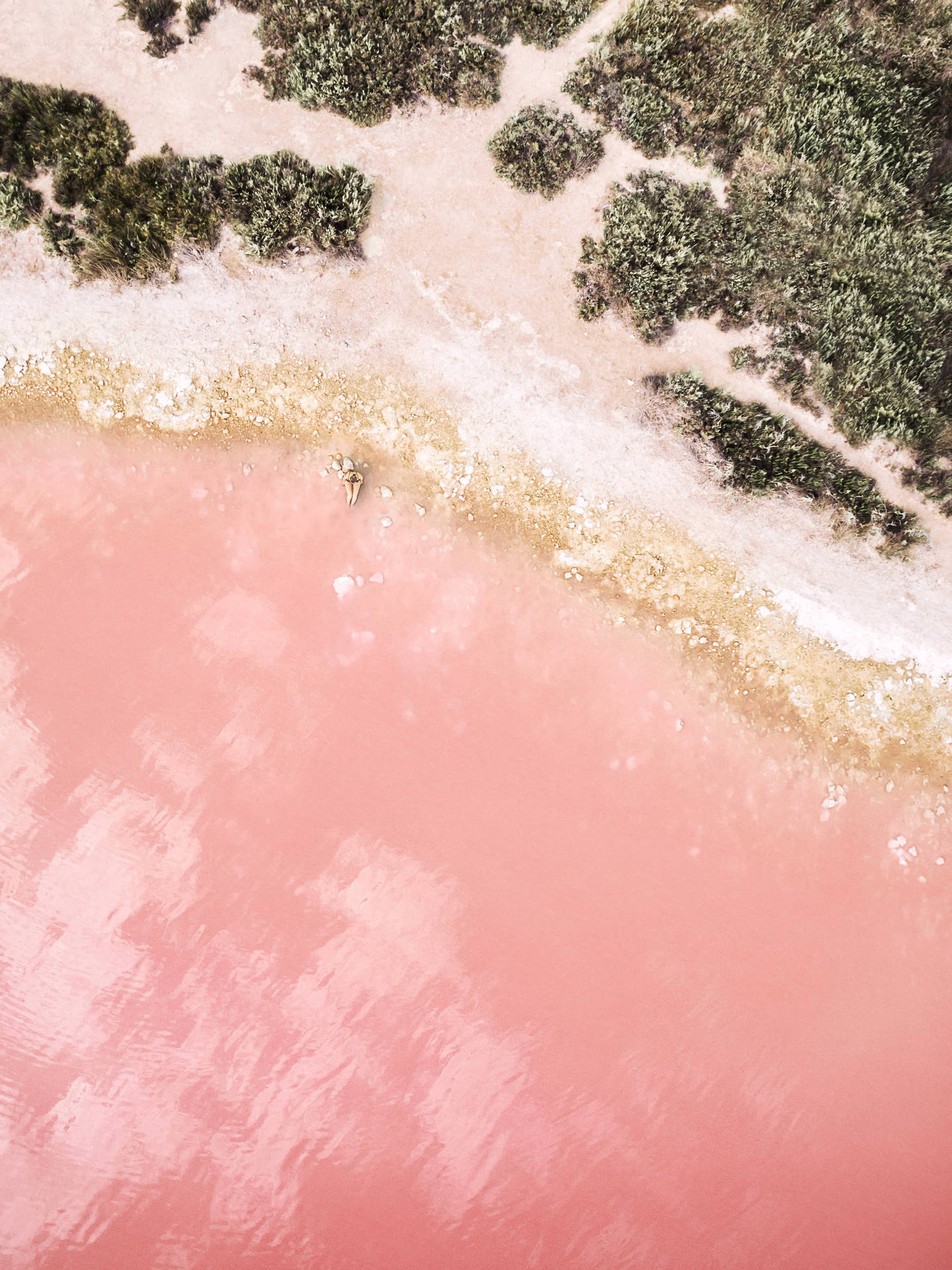 Pink Beach On Free Ipad Background