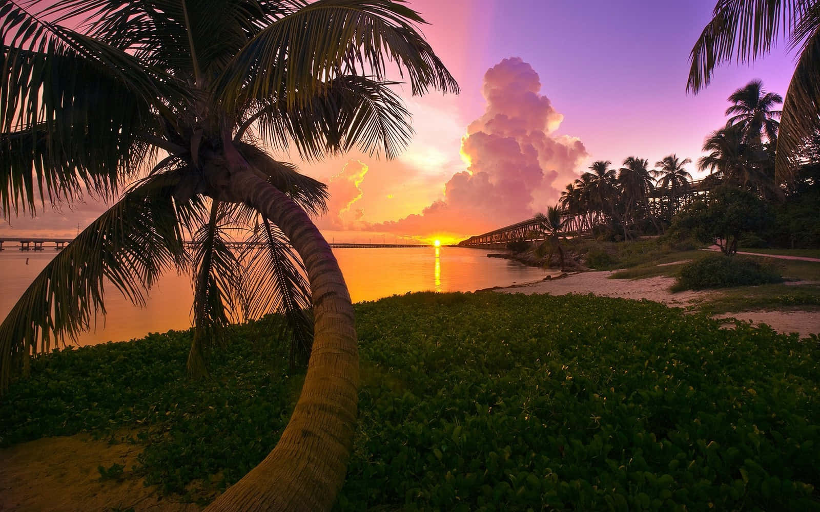 Pink Beach Sunset Sky With A Lush Island Background