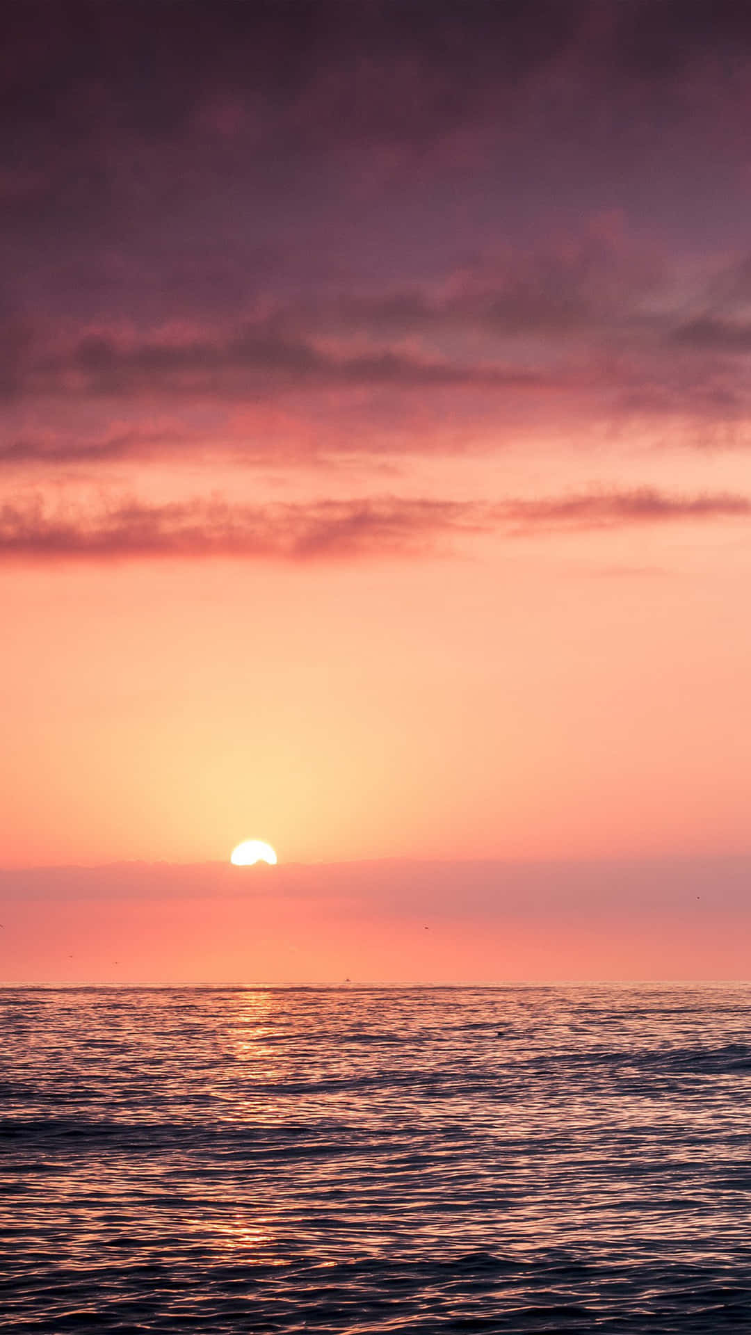 Pink Beach Sunset With Dark Clouds Background