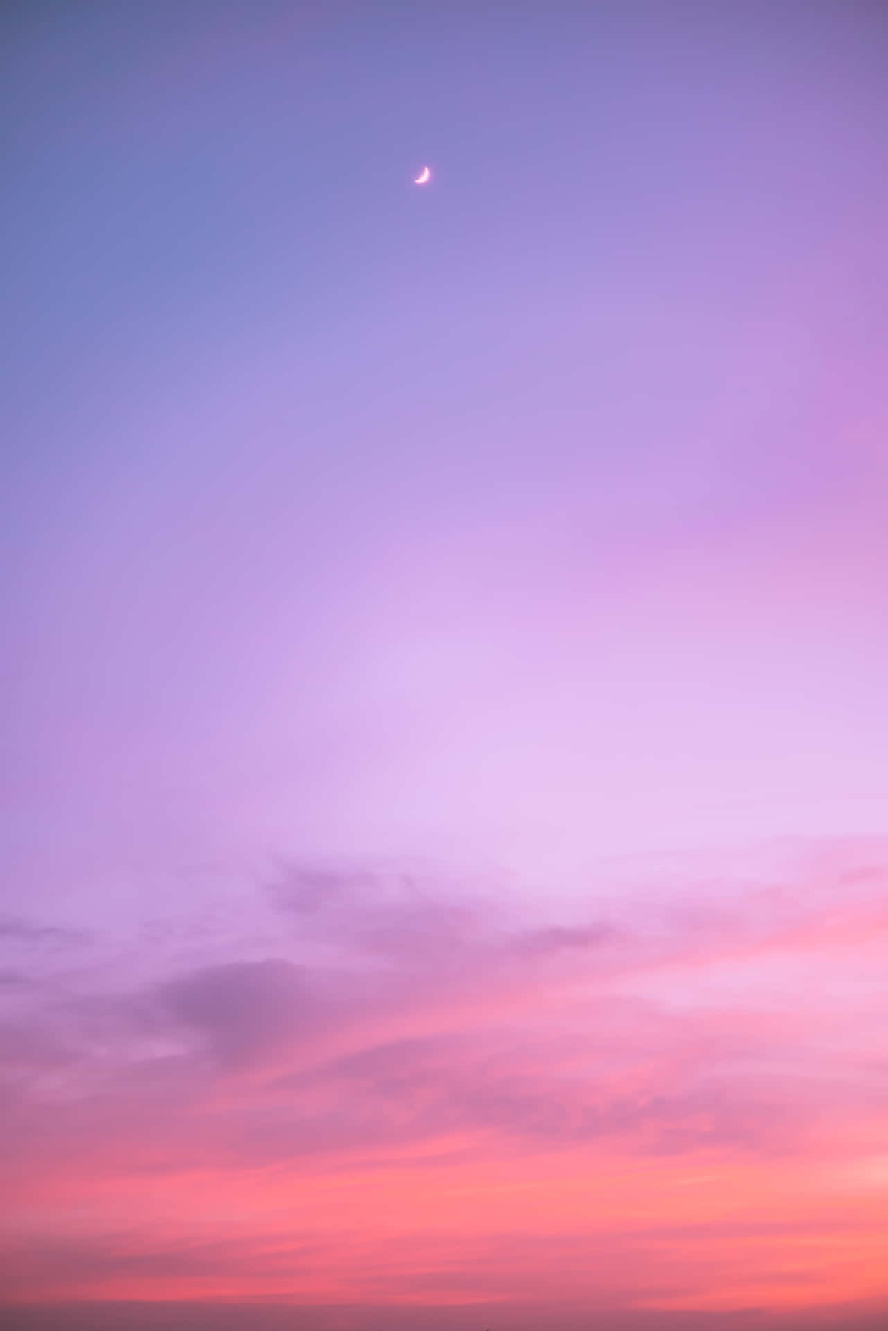 Pink Beach Sunset With The Moon Background