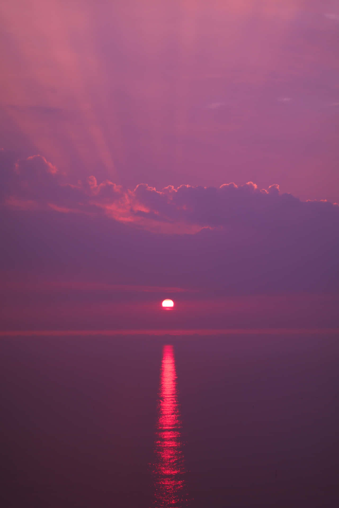 Pink Beach Sunset With The Sun's Reflection Background