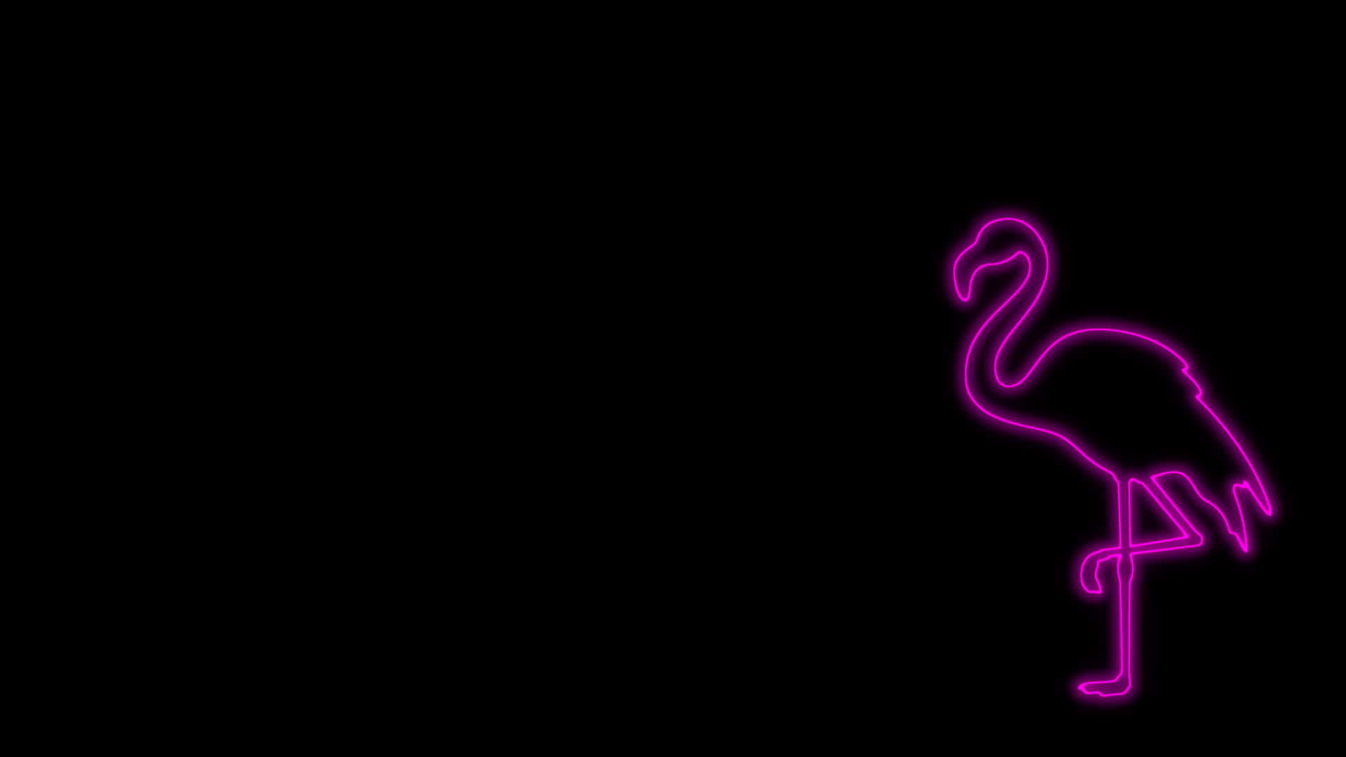 Pink Black Flamingo Art Background