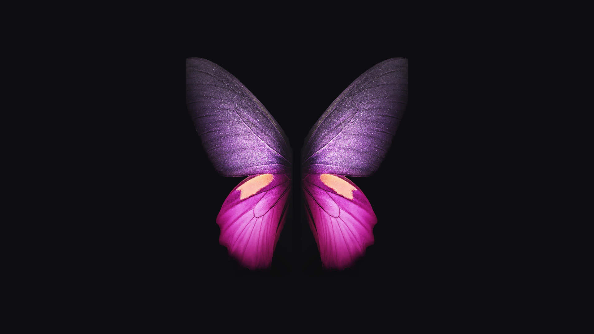 Pink Black Minimalist Butterfly Background