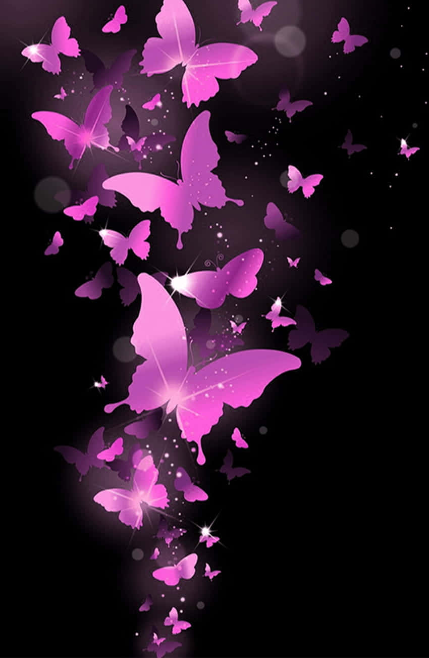 Pink Butterflies Flying In The Sky On A Black Background Background