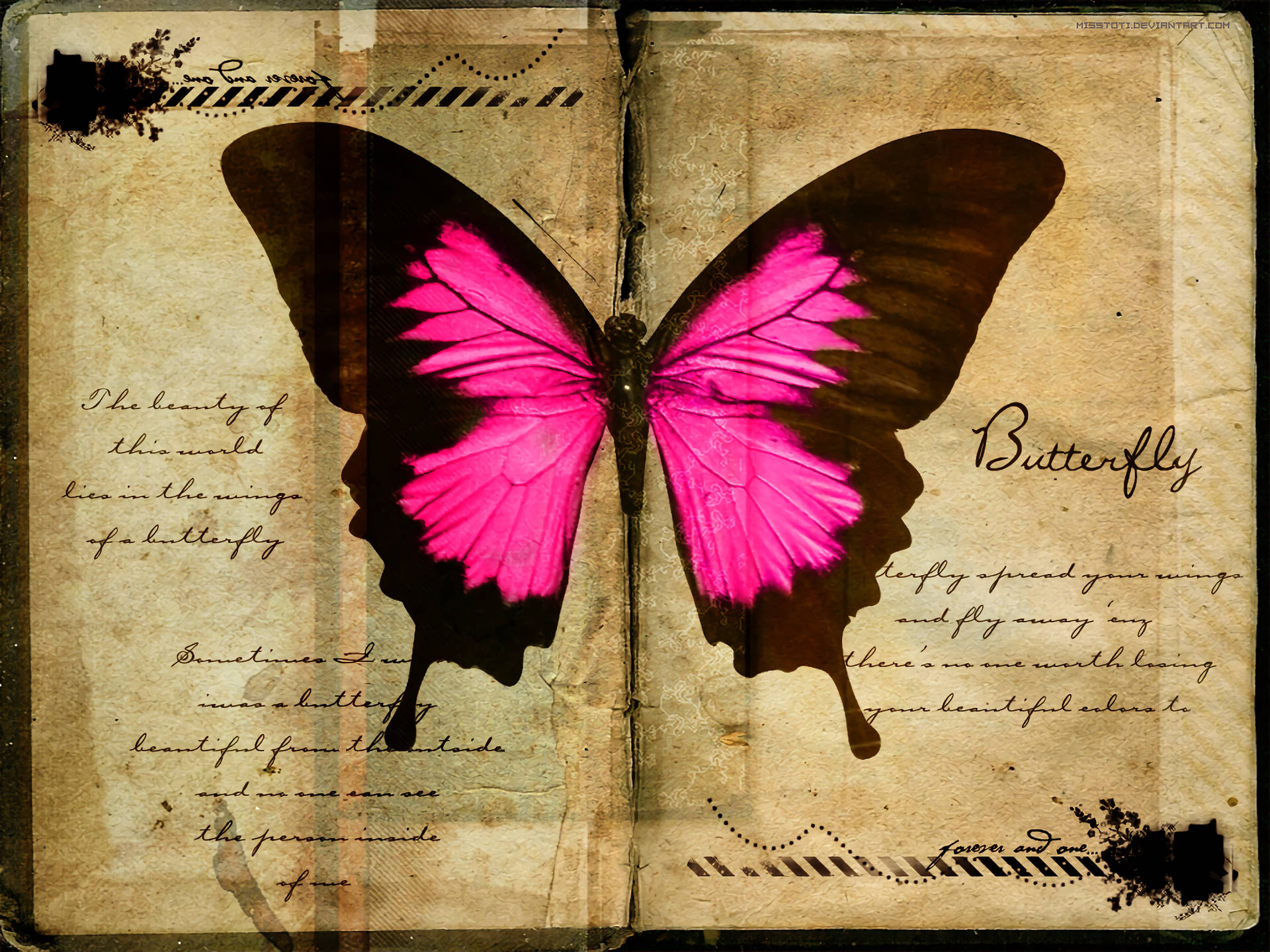 Pink Butterfly On Old Book