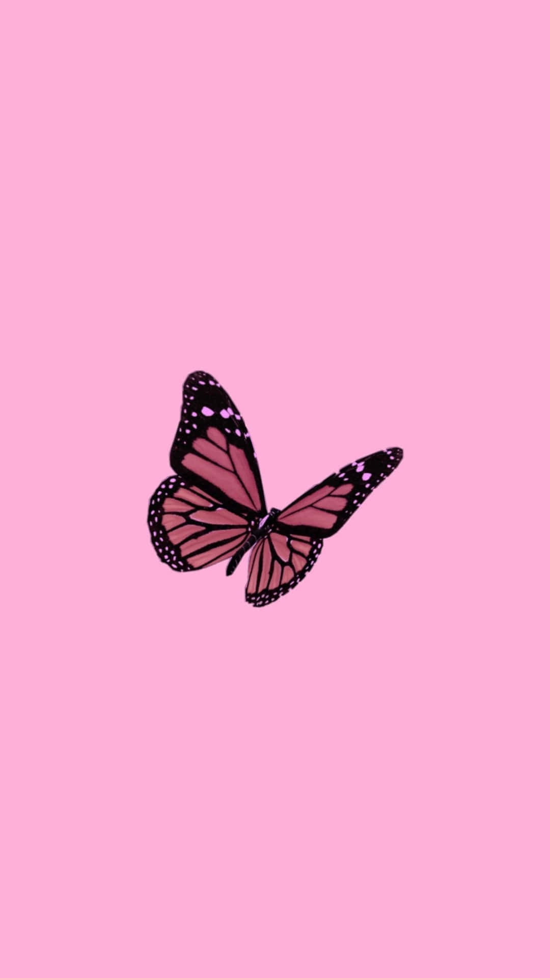 Pink Butterfly Pfp Background