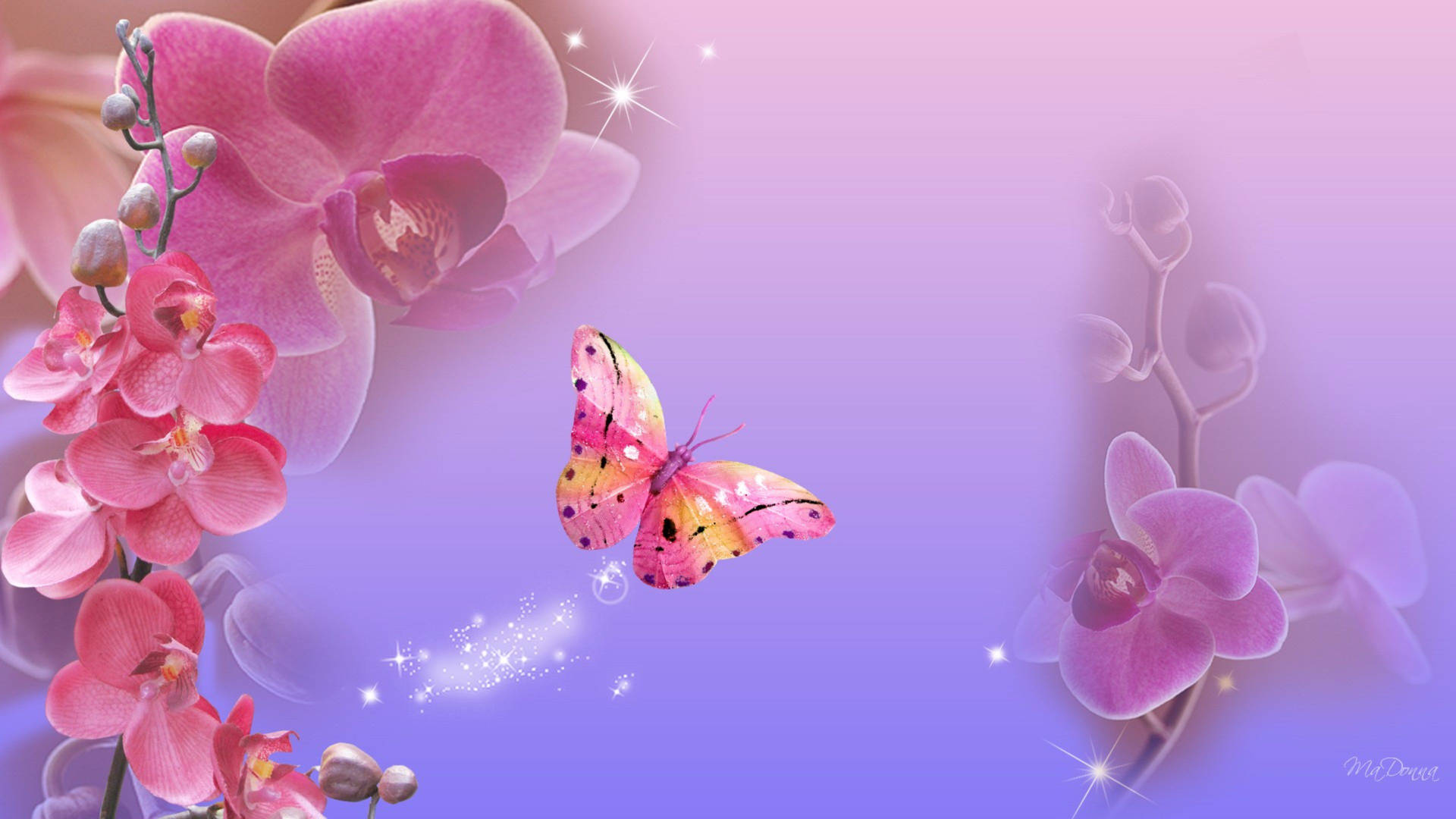 Pink Butterfly Vector Art Background