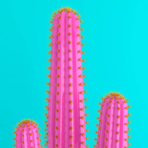 Pink Cactus On Blue Background