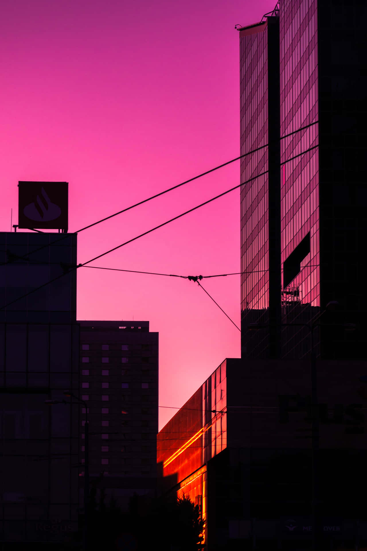 Pink City Portrait Photography Background