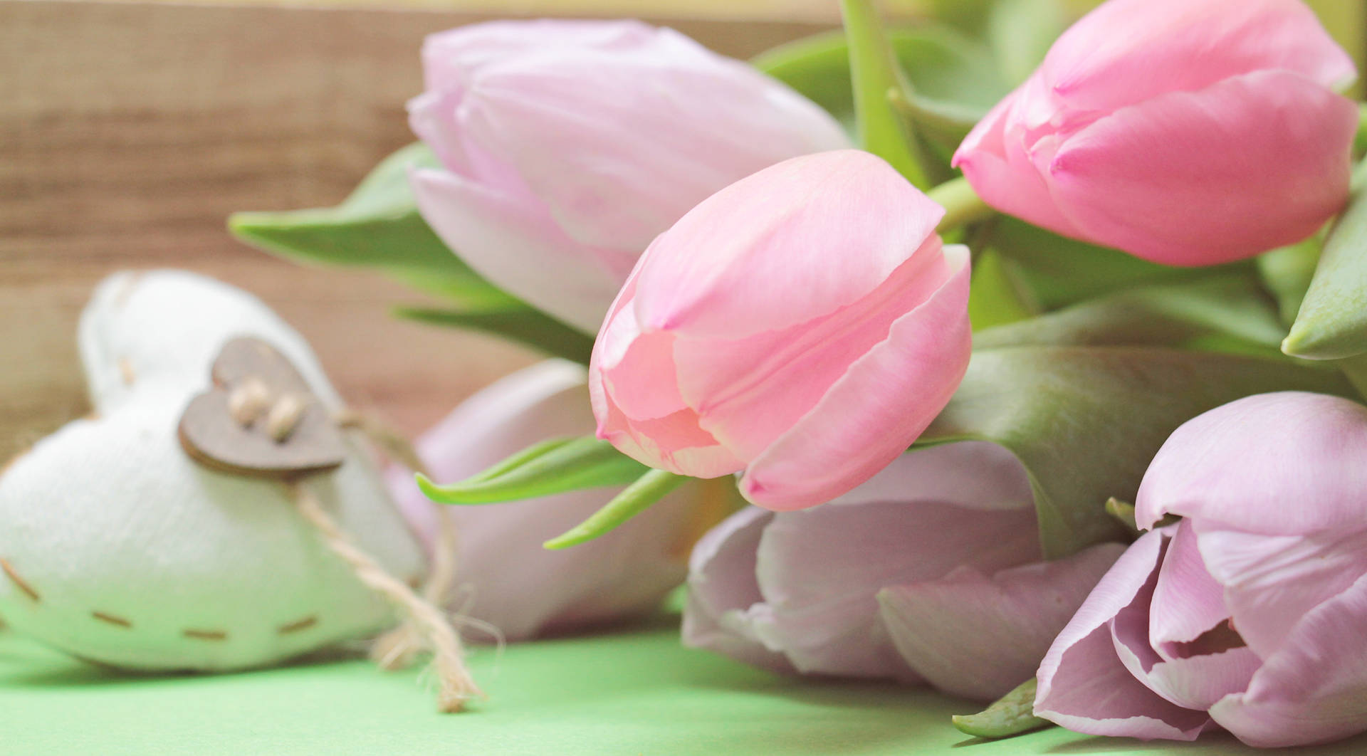 Pink Color Tulips Background