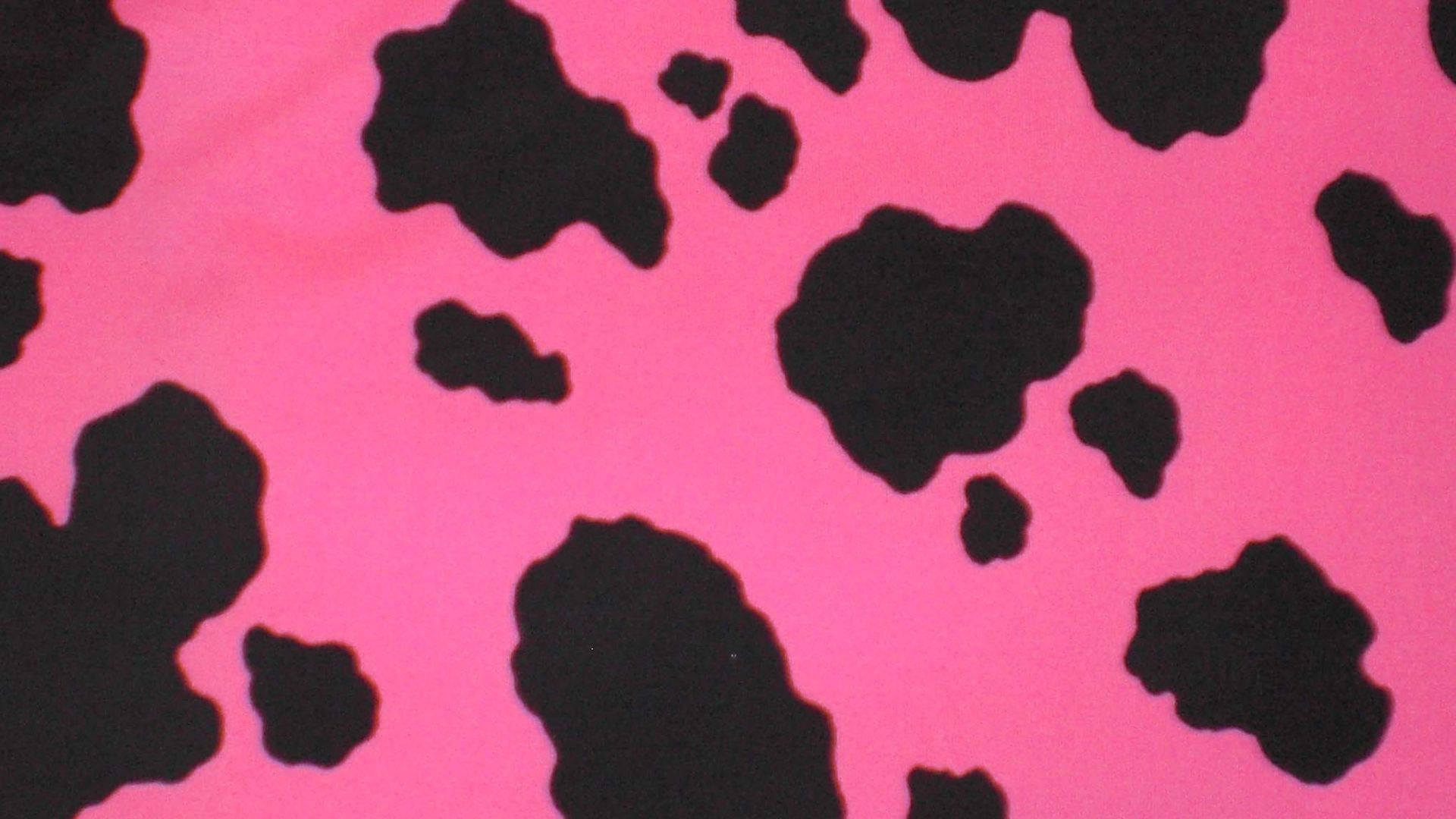 Pink Cow Print With Black Background
