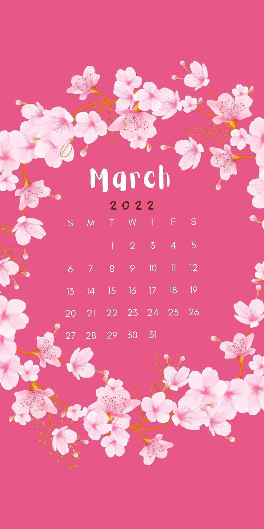 Pink Cute March Background