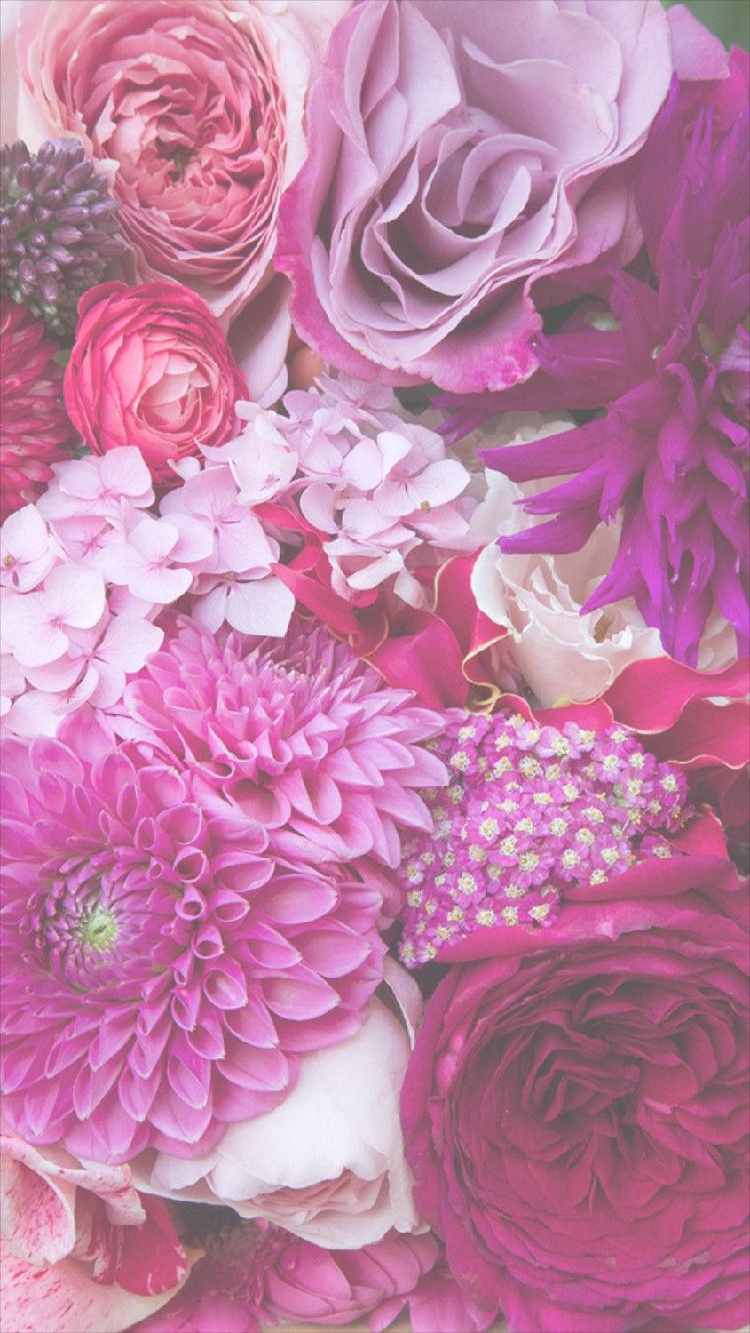 Pink Dahlia And Roses Floral Iphone Background