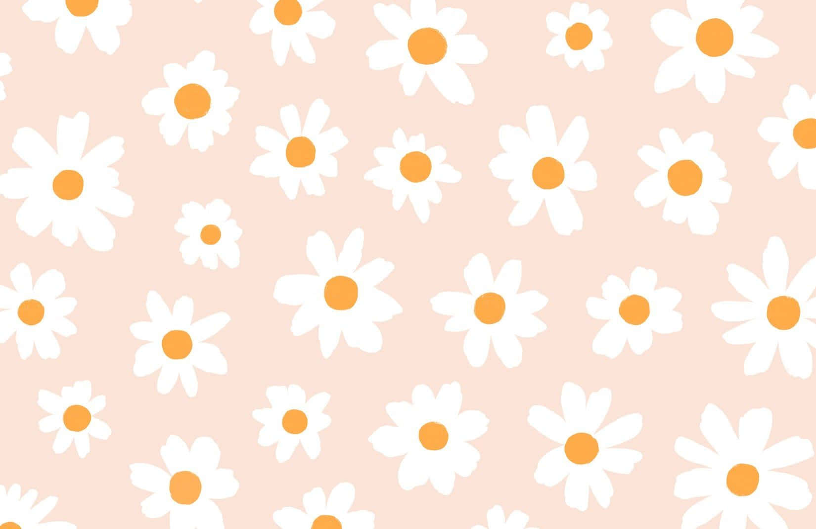 Pink Daisy Aesthetic Computer Background