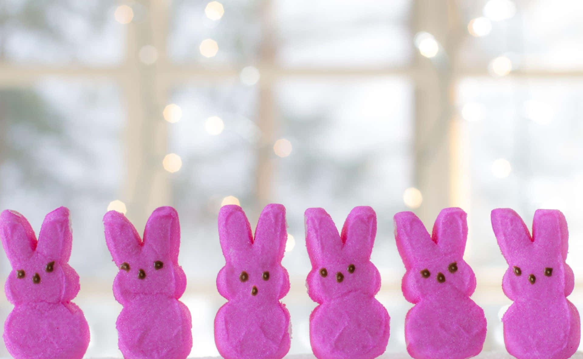 Pink Easter Bunny Peeps Row Background