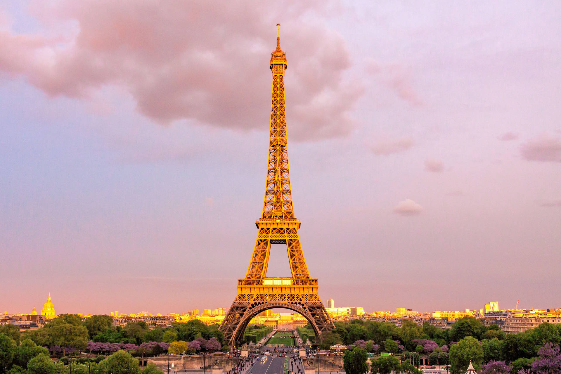Pink Eiffel Tower Dominating Background