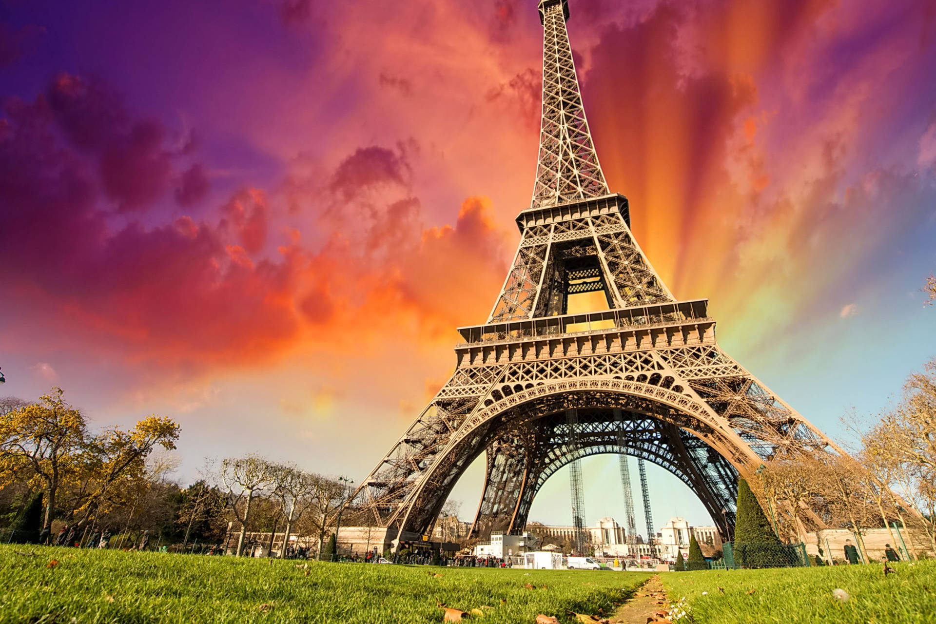 Pink Eiffel Tower Grass Background