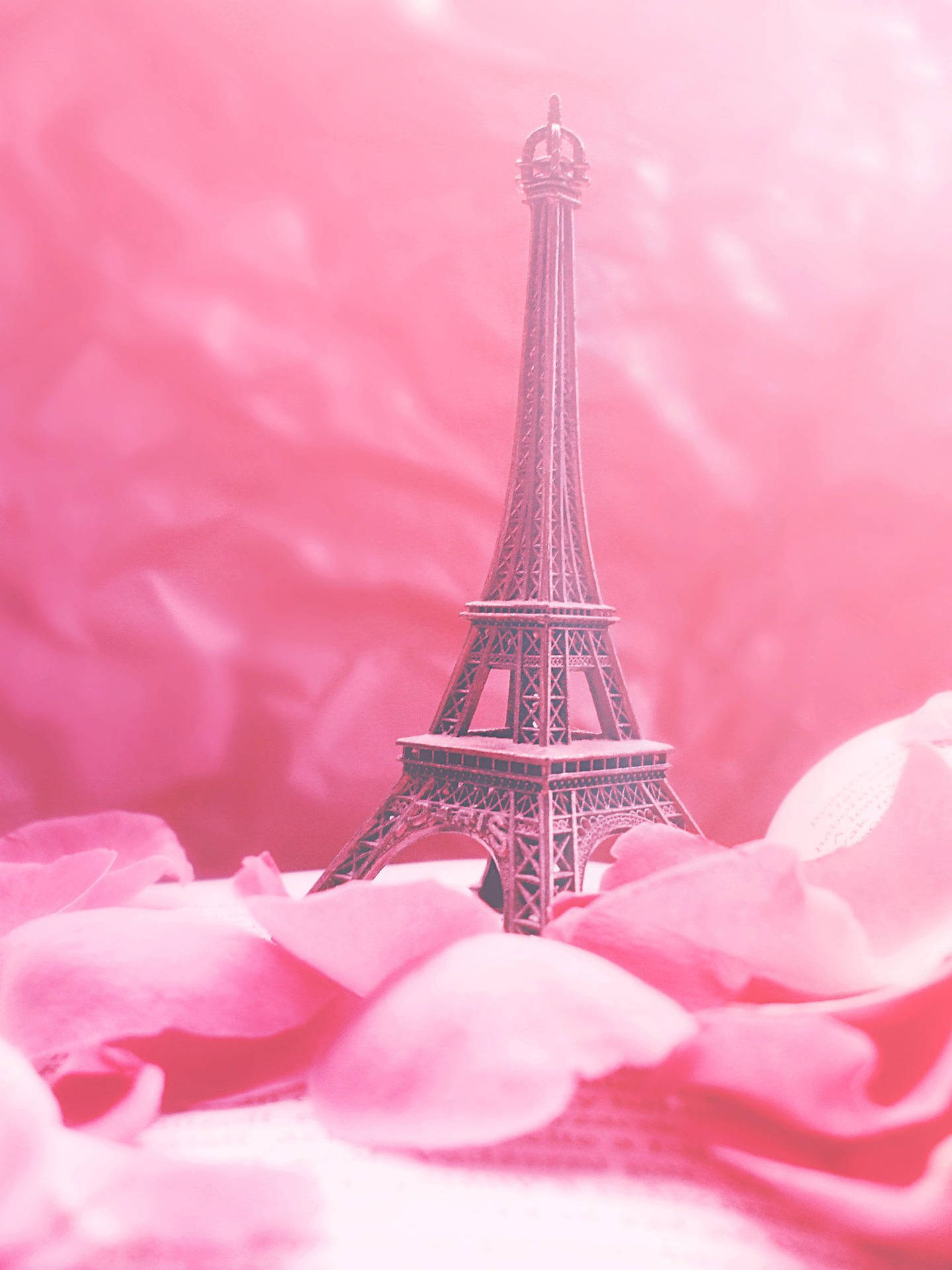 Pink Eiffel Tower Rose Petals Background