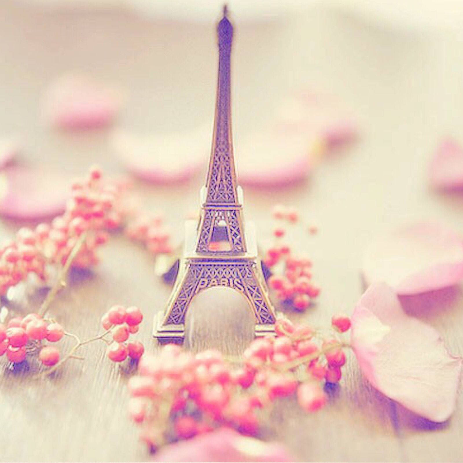 Pink Eiffel Tower Silver Background