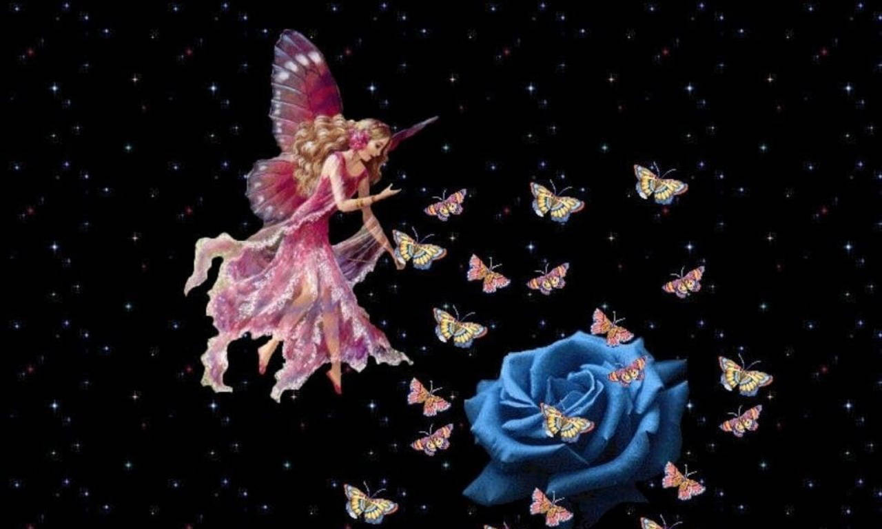 Pink Fairy Blue Rose Background