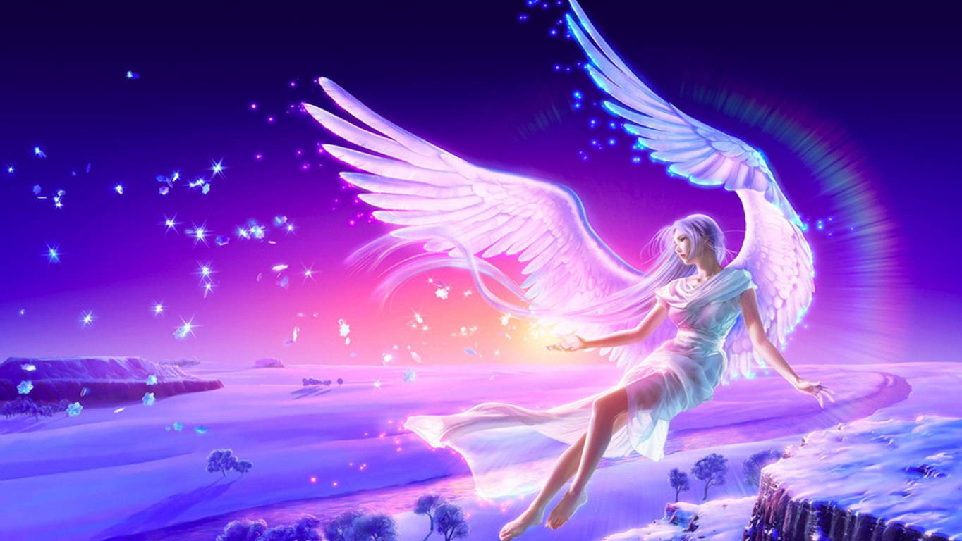 Pink Fairy Flying Night Background