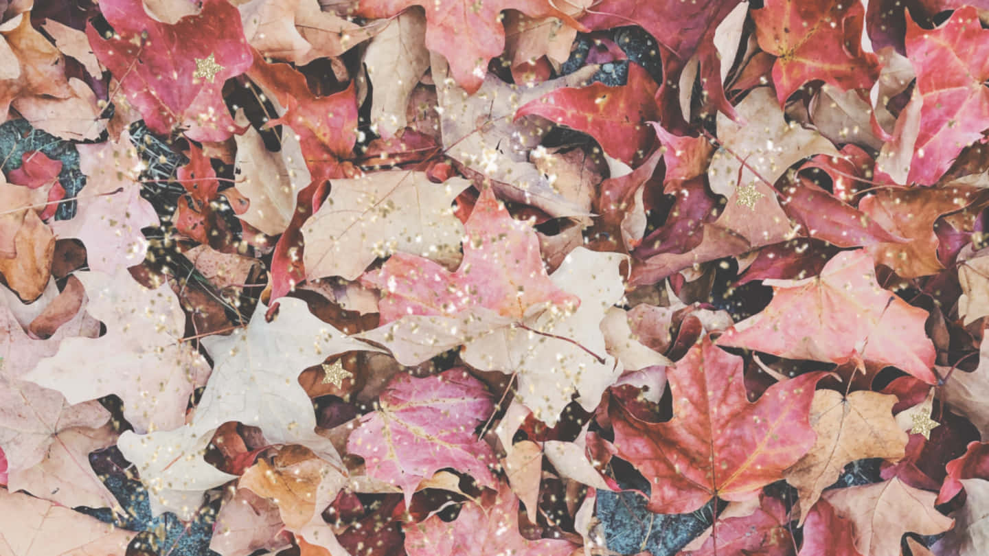 Pink Fall Leaves Background