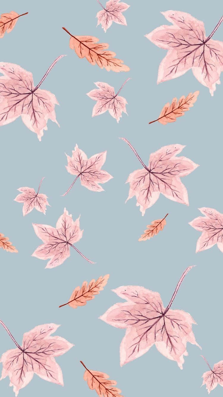 Pink Fall Wallpaper Leaves Background