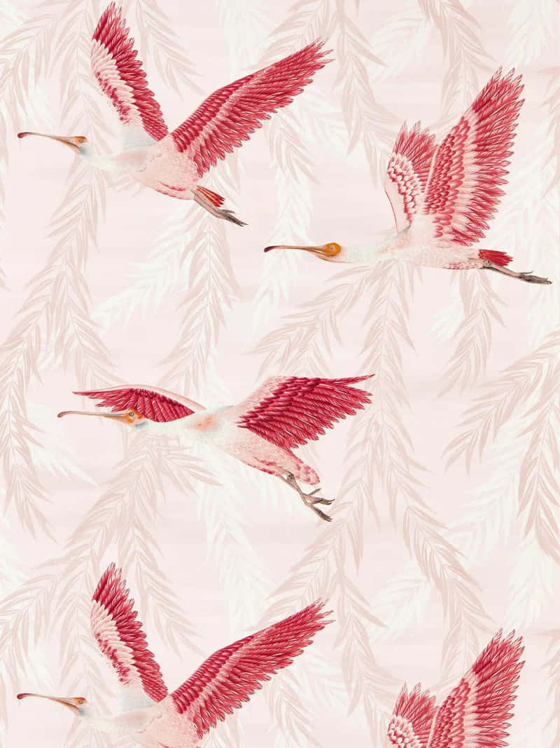 Pink Feathered Cranes Pattern Background