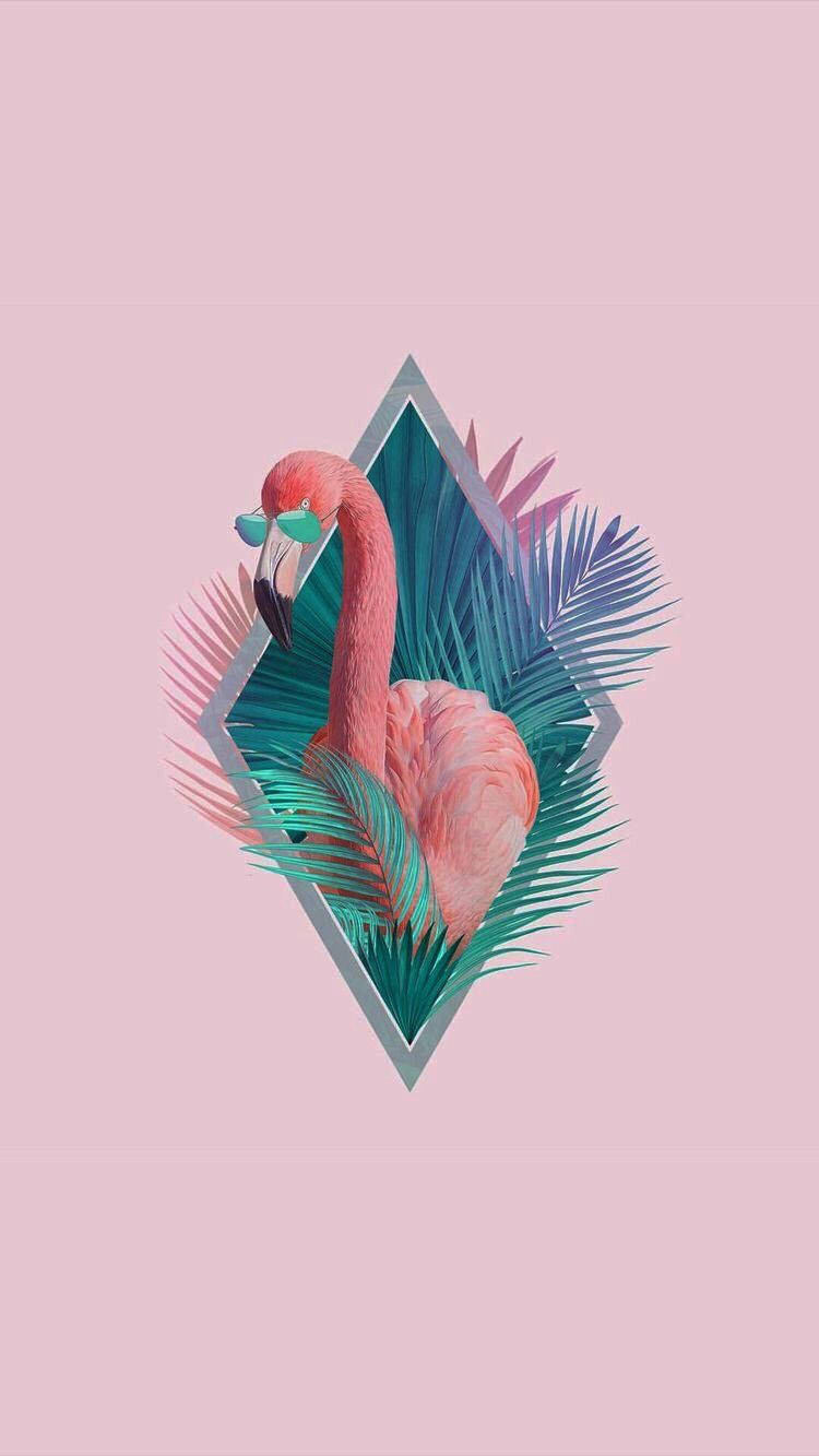 Pink Flamingo Cute Summer Aesthetic Background