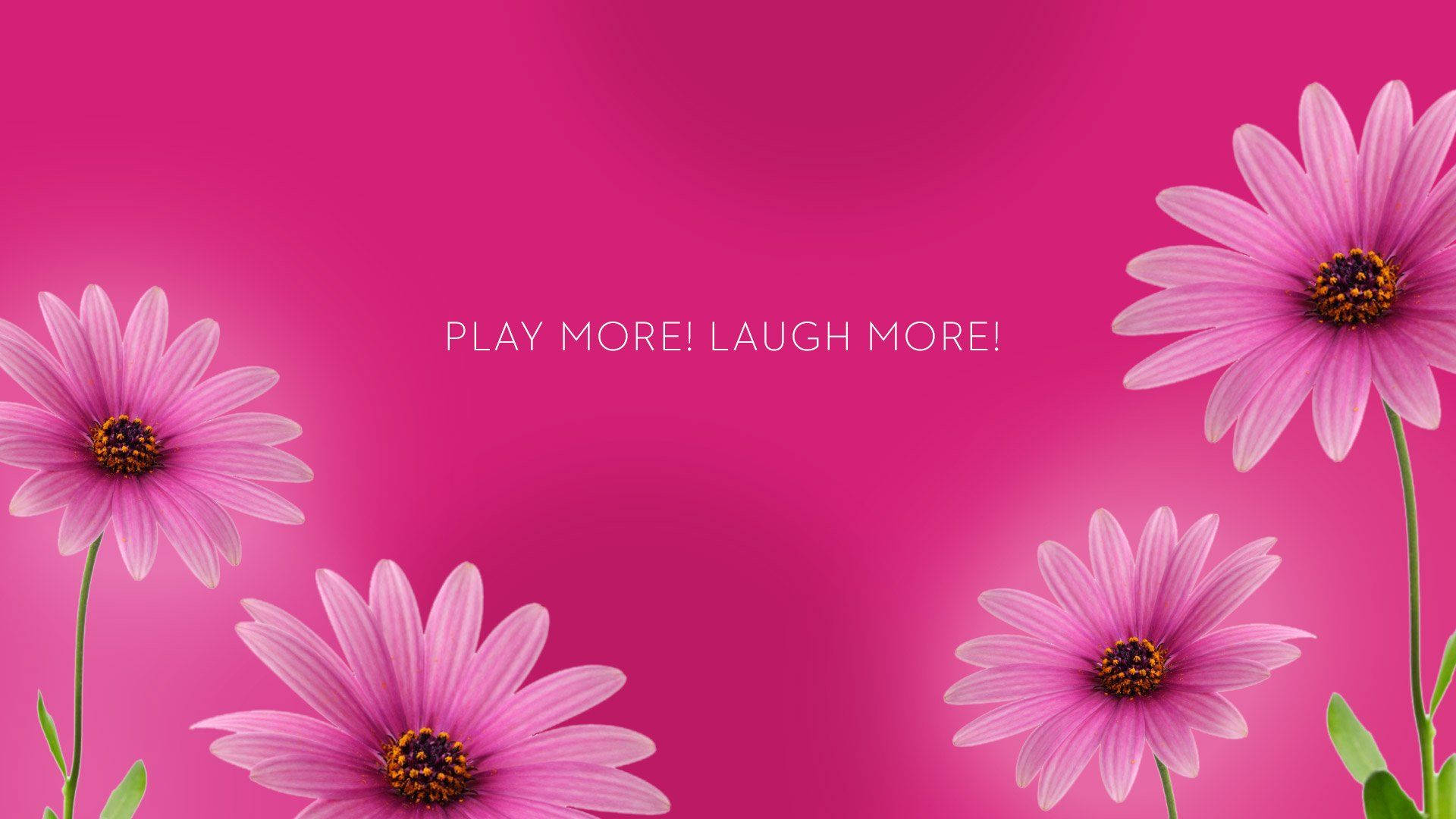 Pink Floral Desktop With Quote Background