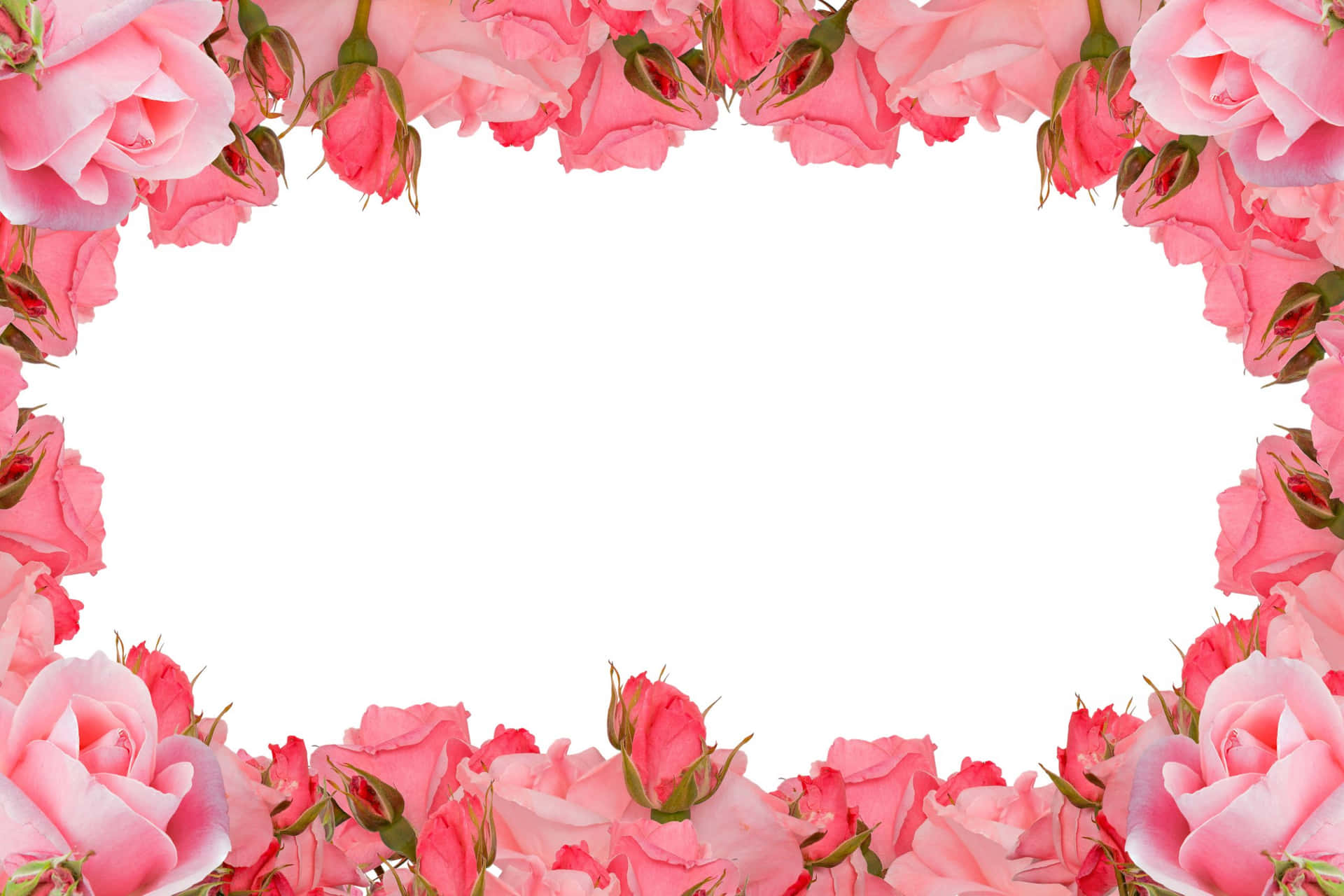 Pink Floral Roses Design