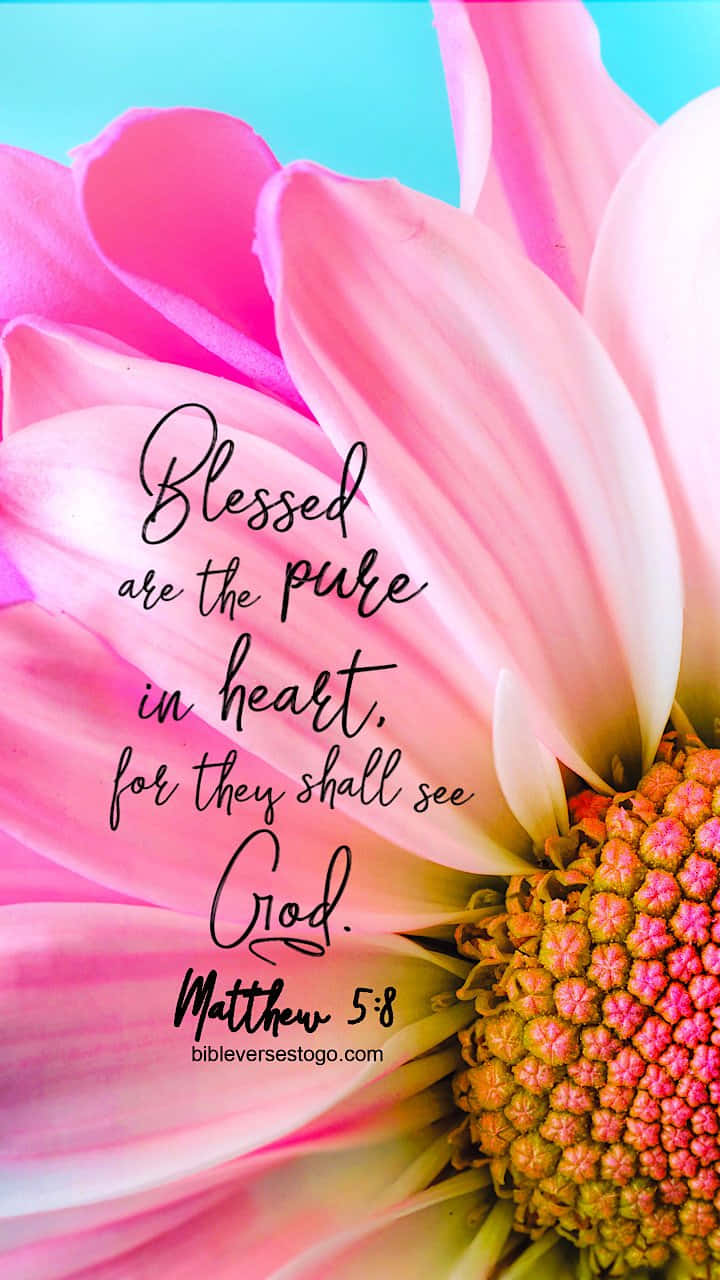 Pink Flower And A Girly Bible Verse Background