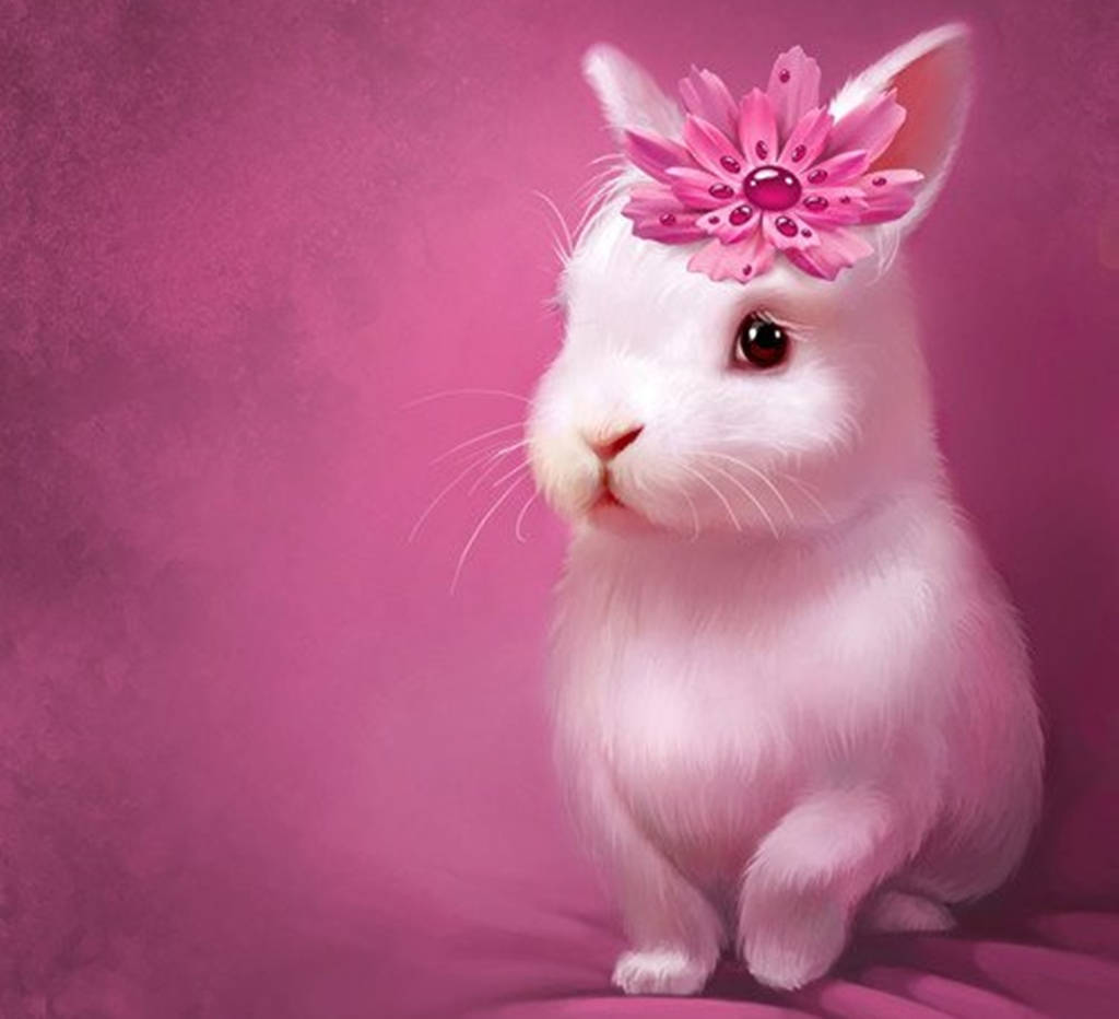 Pink Flower And White Rabbit Background