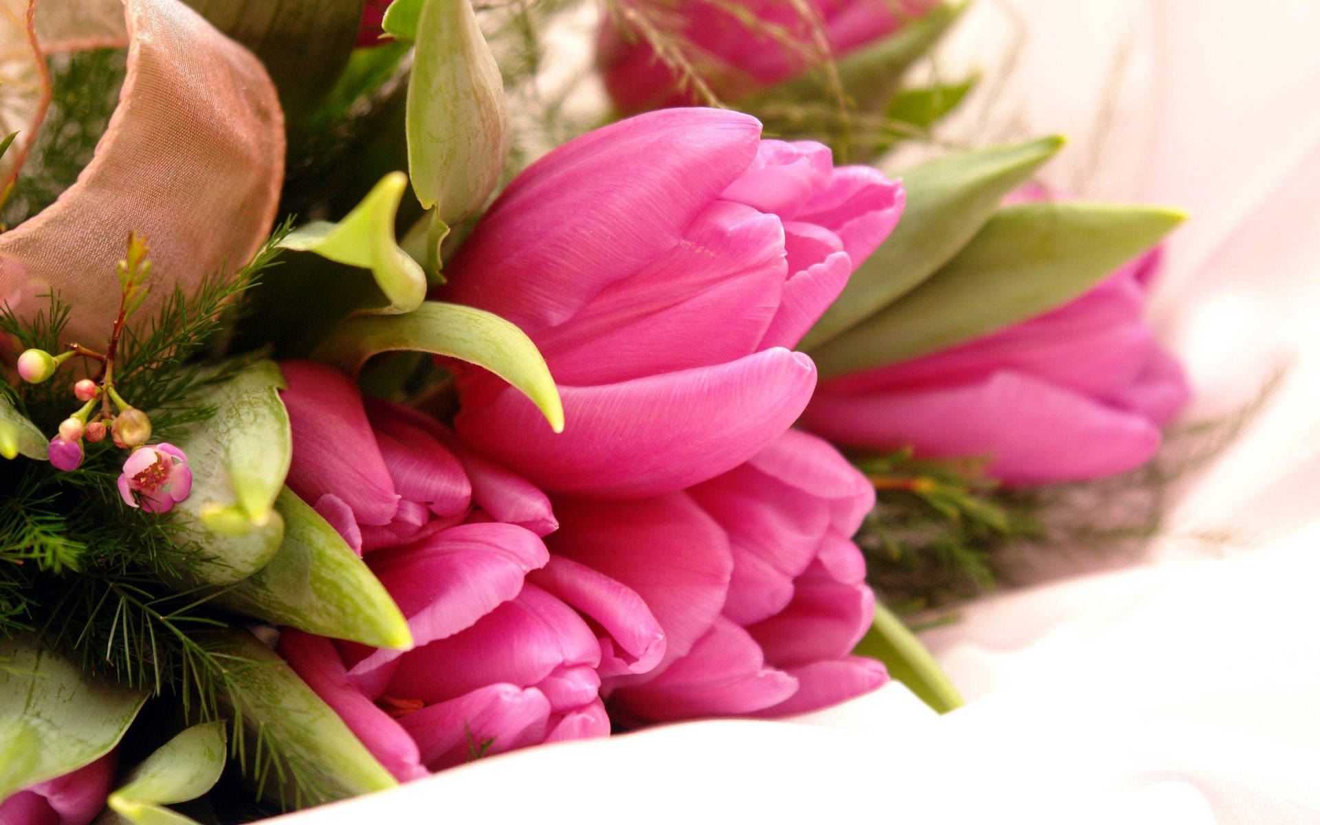 Pink Flower Arrangement Background