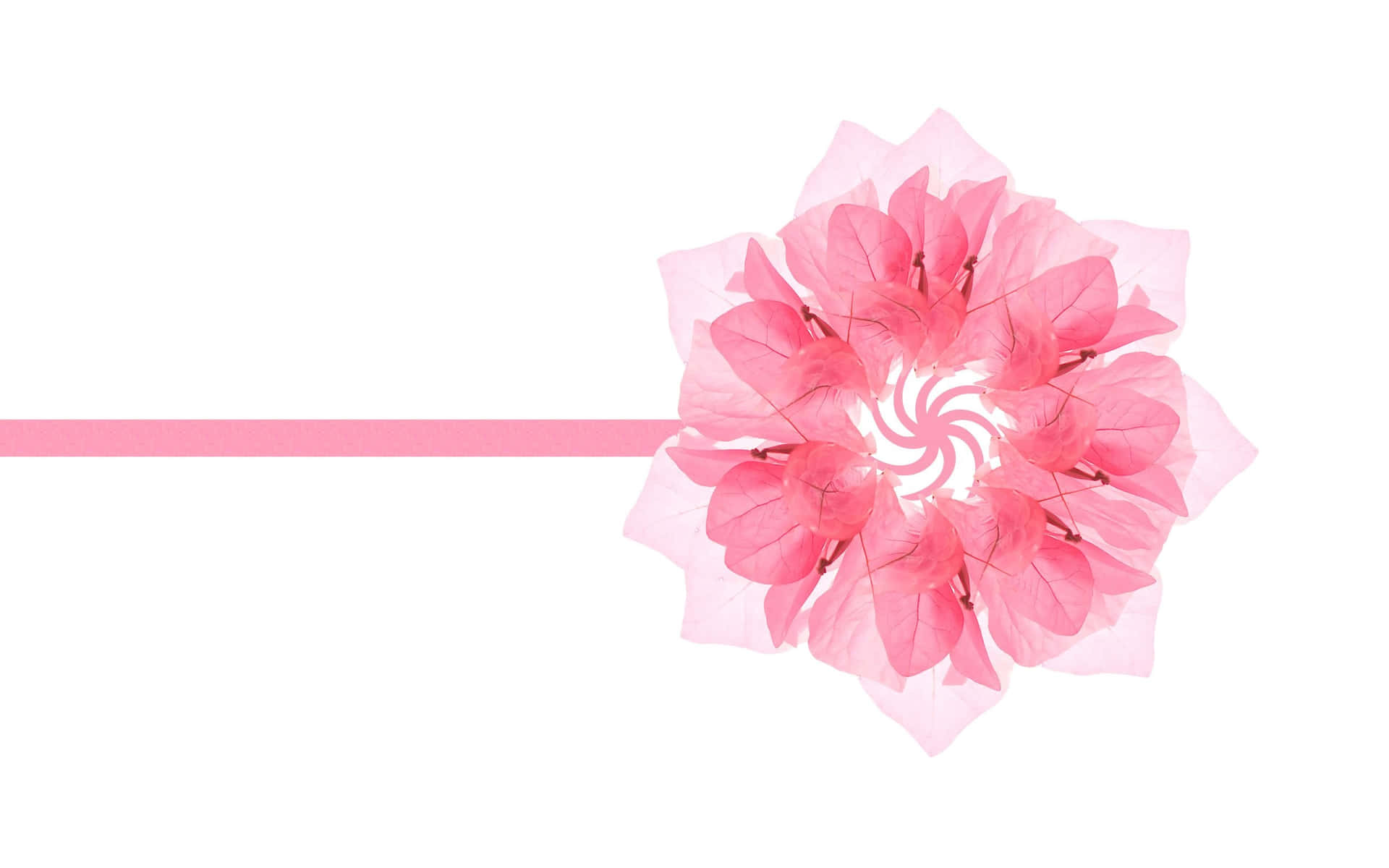 Pink Flower Clipart Png Background