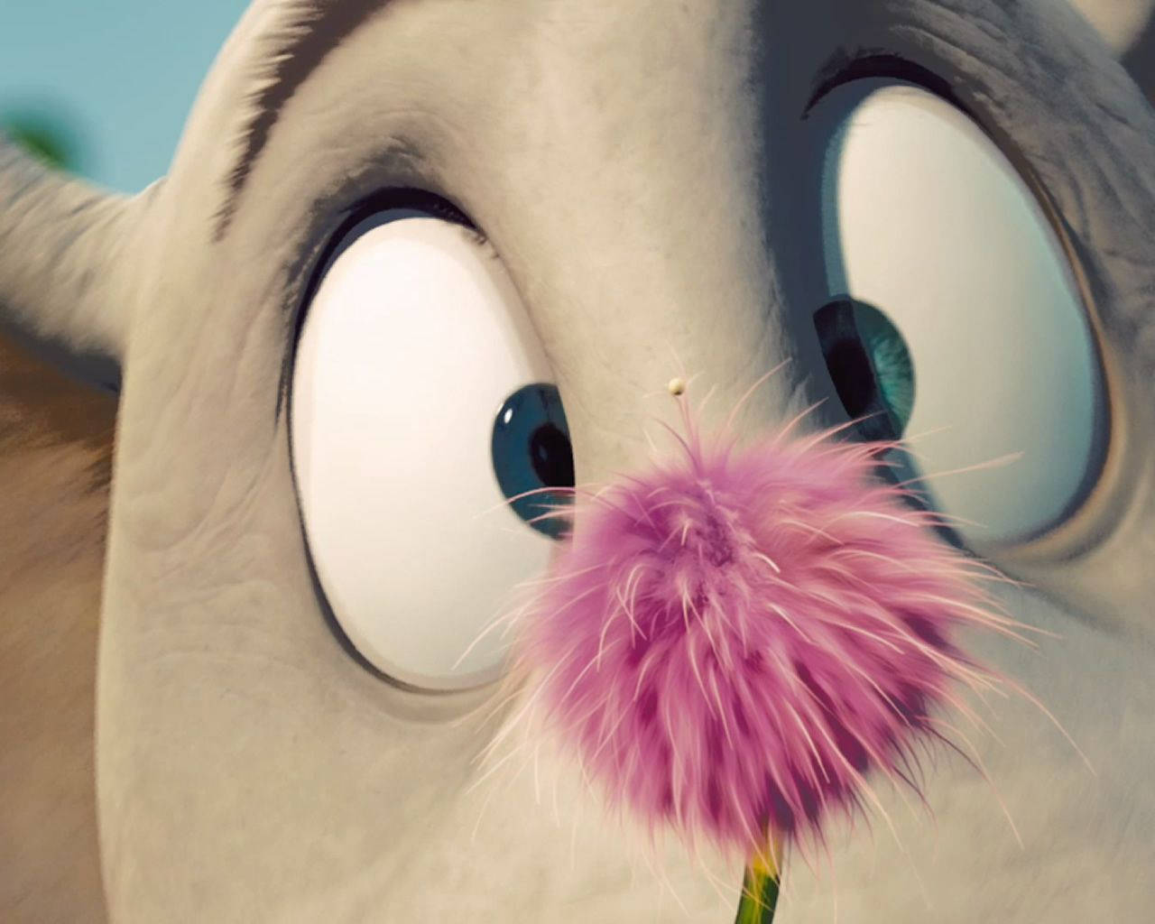 Pink Flower Horton Hears A Who Background