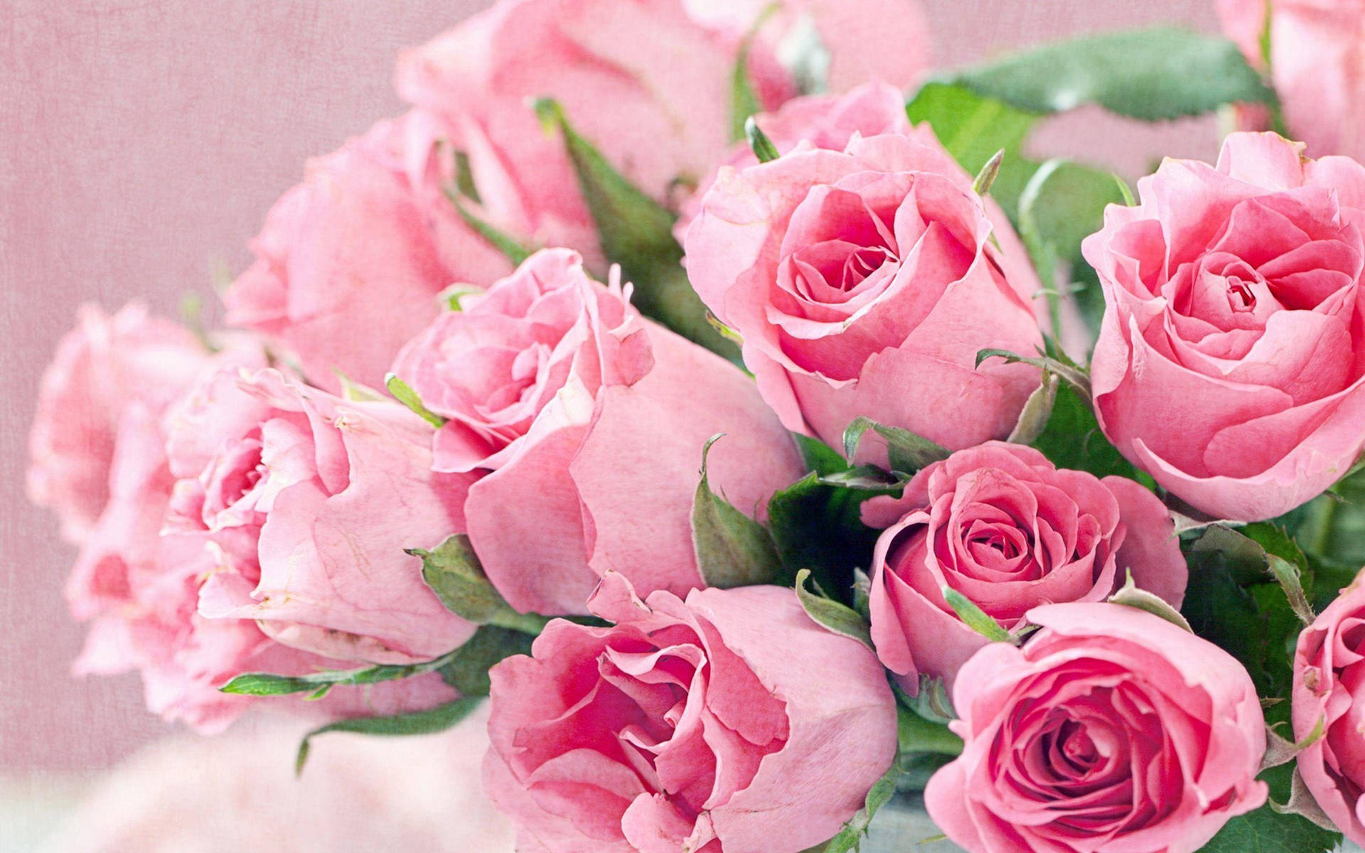 Pink Flower Rose Bouquet Background