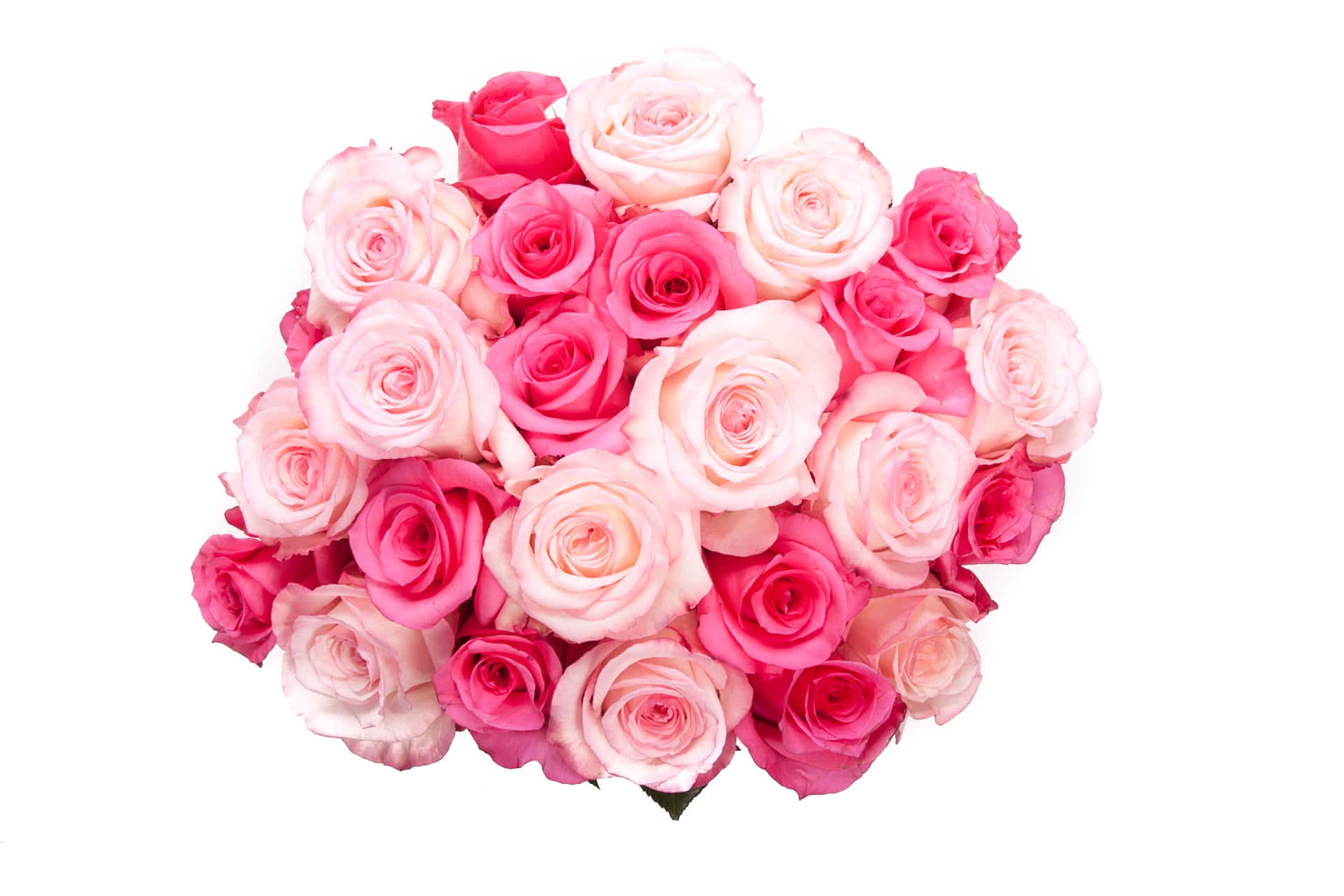 Pink Flower Rose Bouquet