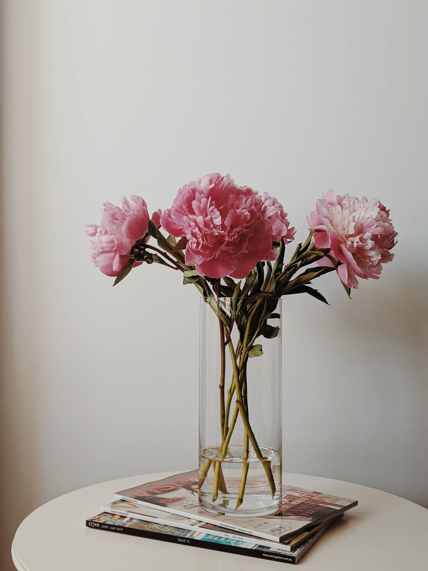 Pink Flowers Aesthetic In Glass Vase Background