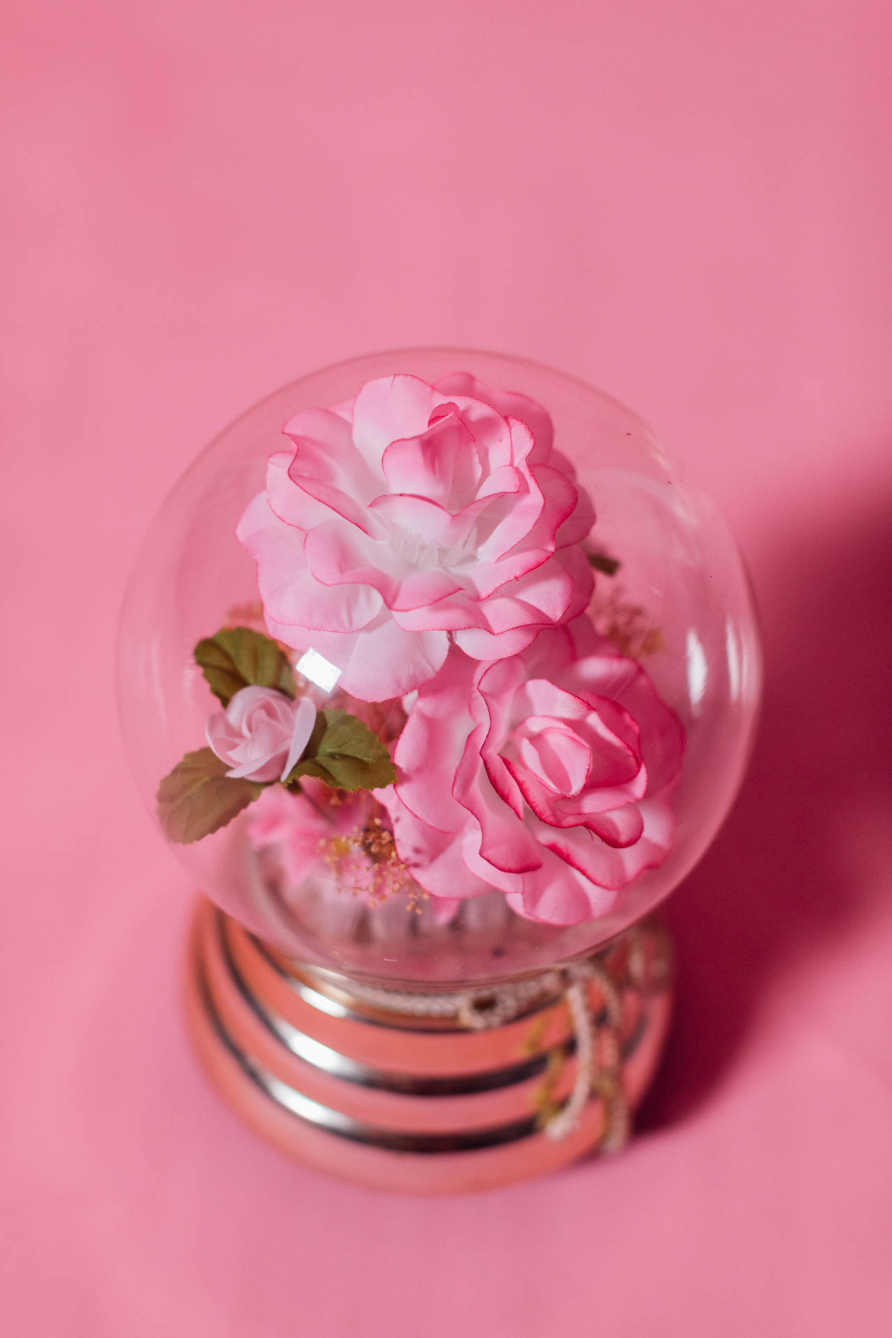 Pink Flowers Aesthetic Inside Glass Globe Background