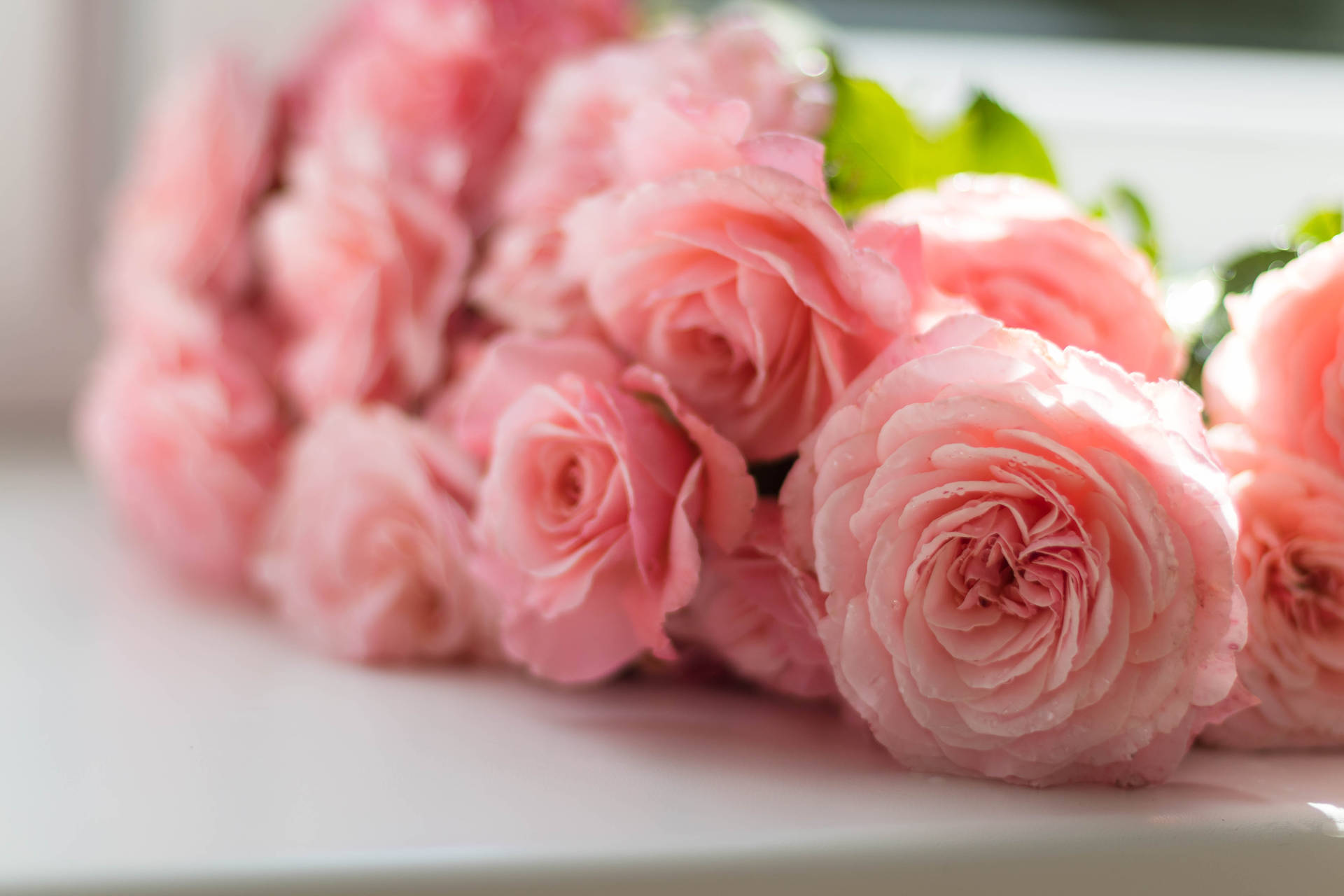 Pink Flowers Aesthetic Roses On Table Background