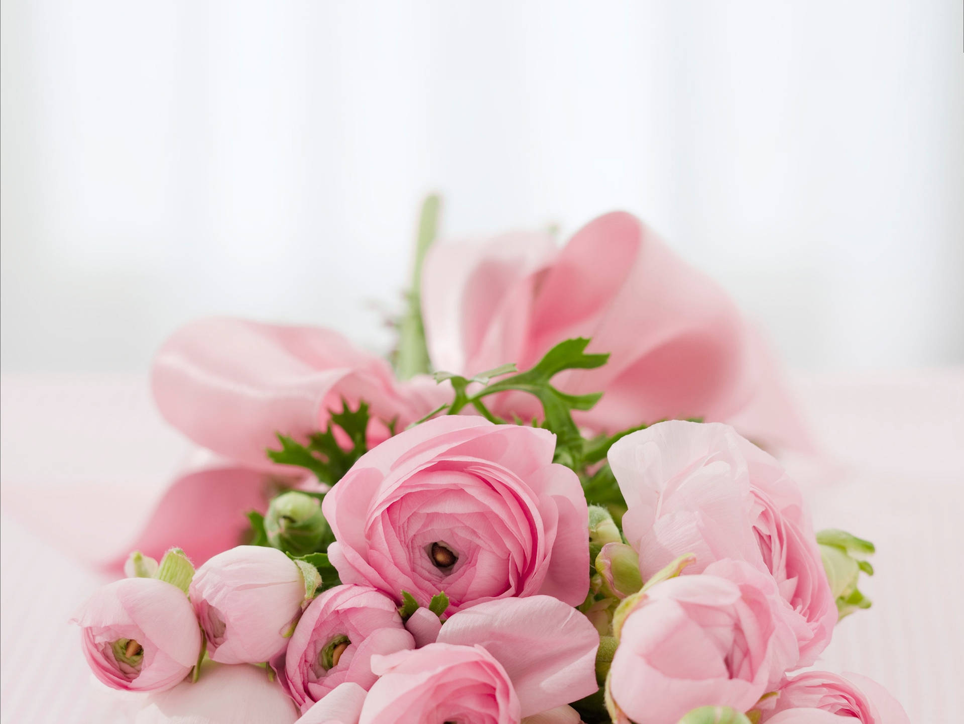 Pink Flowers Aesthetic With Bow Background