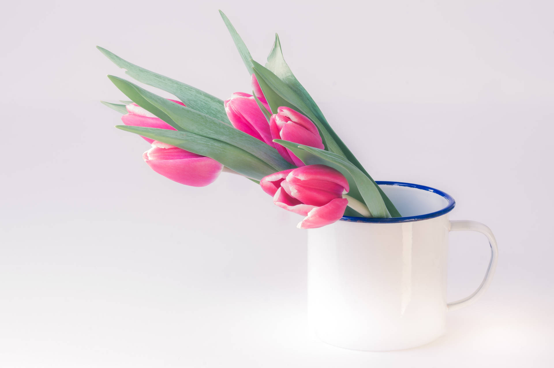 Pink Flowers Aesthetic With Enamel Mug